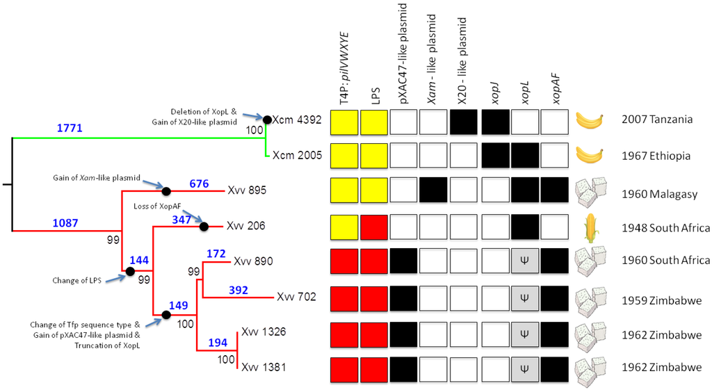 Pathogens 03 00211 g001 1024