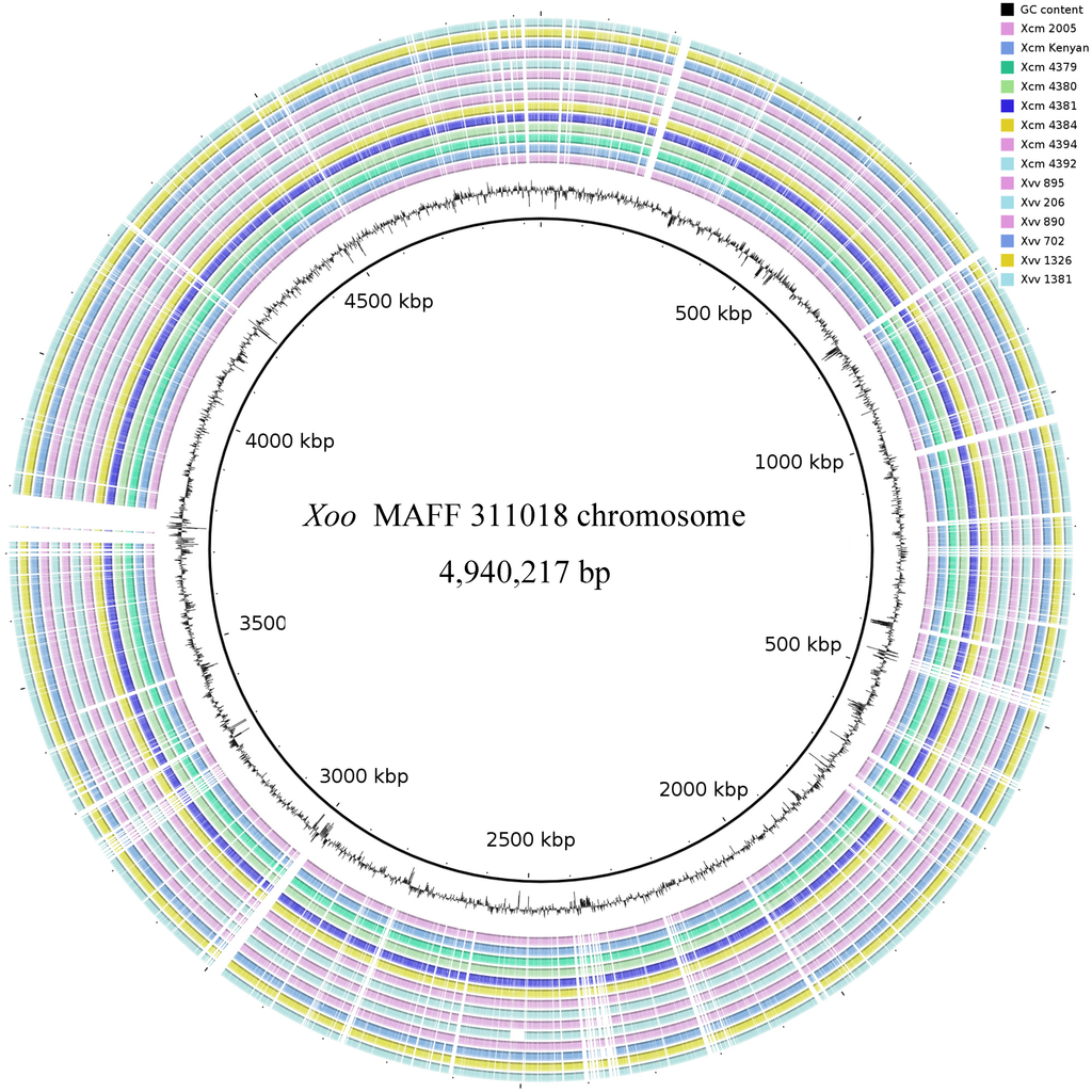 Pathogens 03 00211 g002 1024
