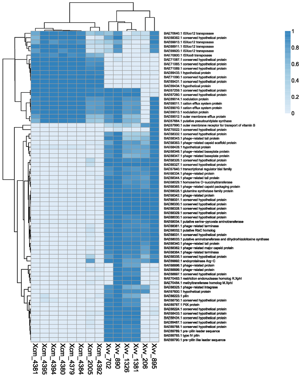 Pathogens 03 00211 g003 1024