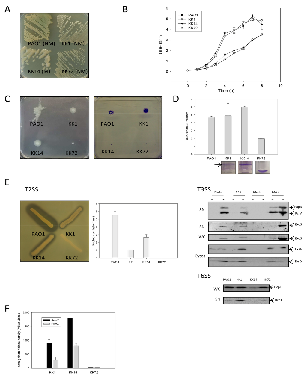 Pathogens 03 00309 g001 1024
