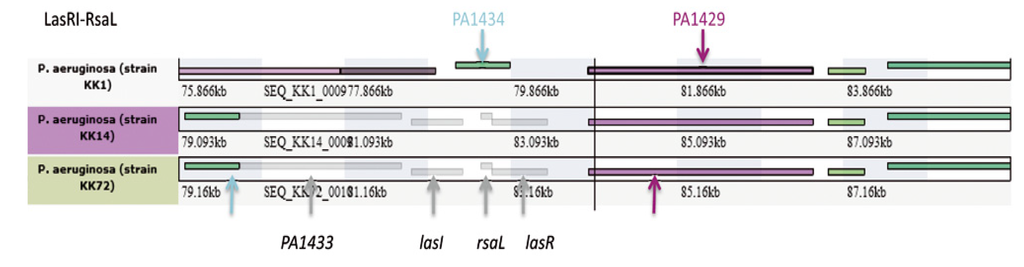 Pathogens 03 00309 g005 1024