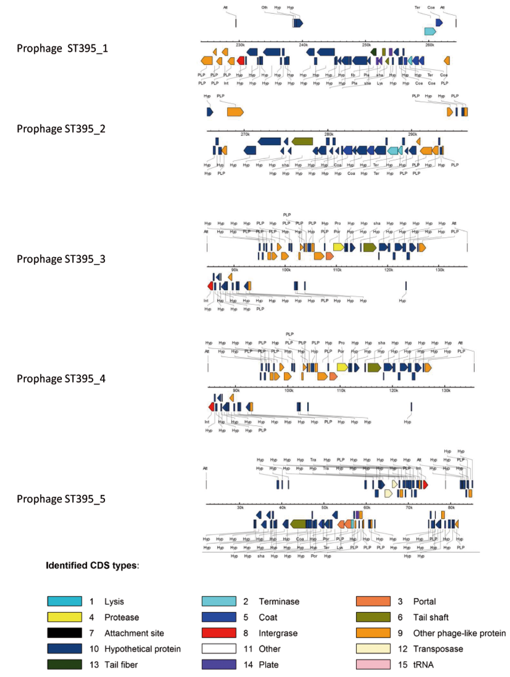 Pathogens 03 00309 g006 1024