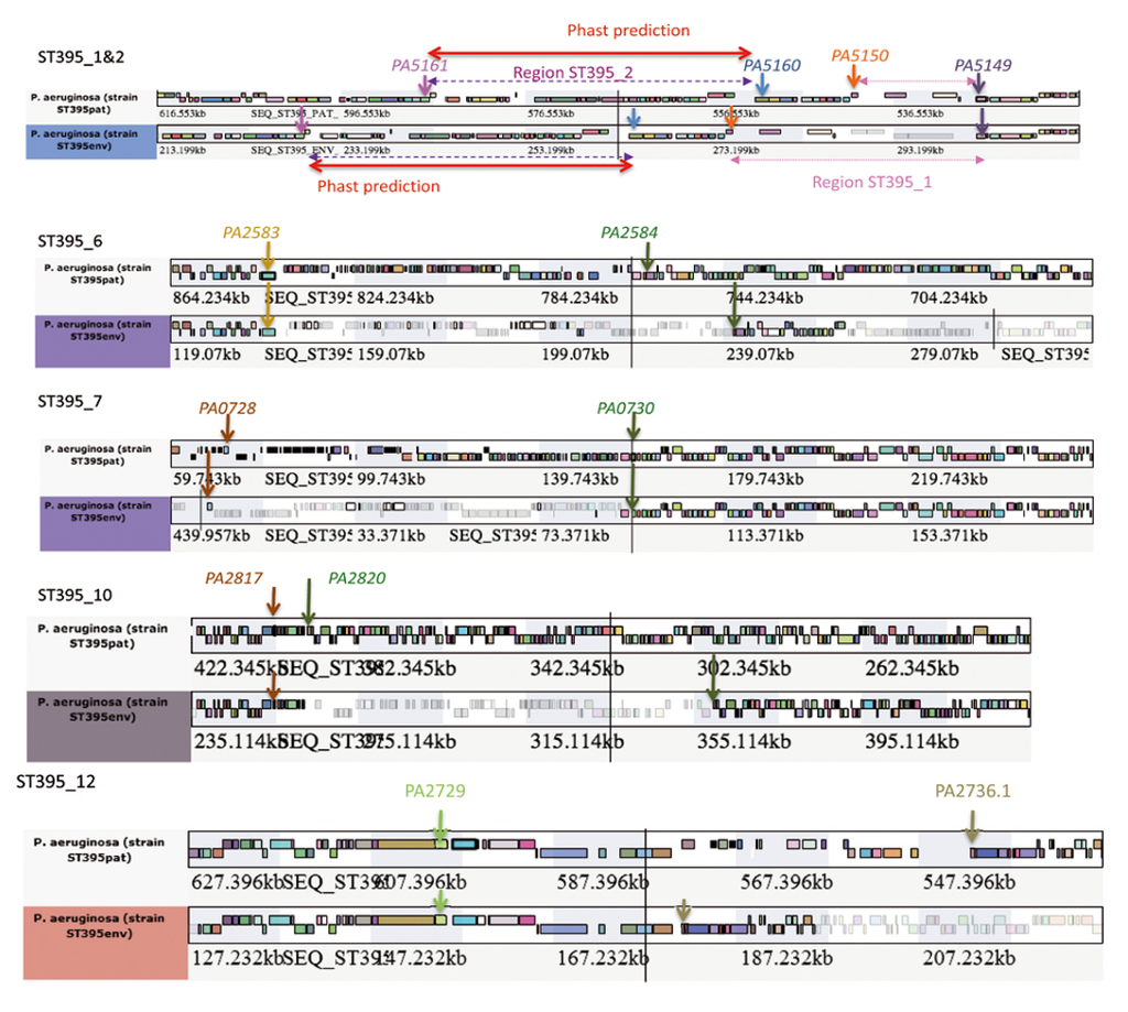 Pathogens 03 00309 g007 1024
