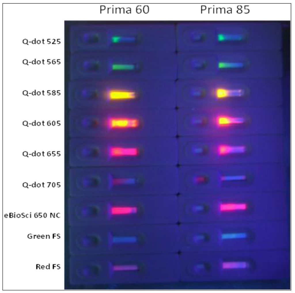 Pathogens 03 00341 g003 1024