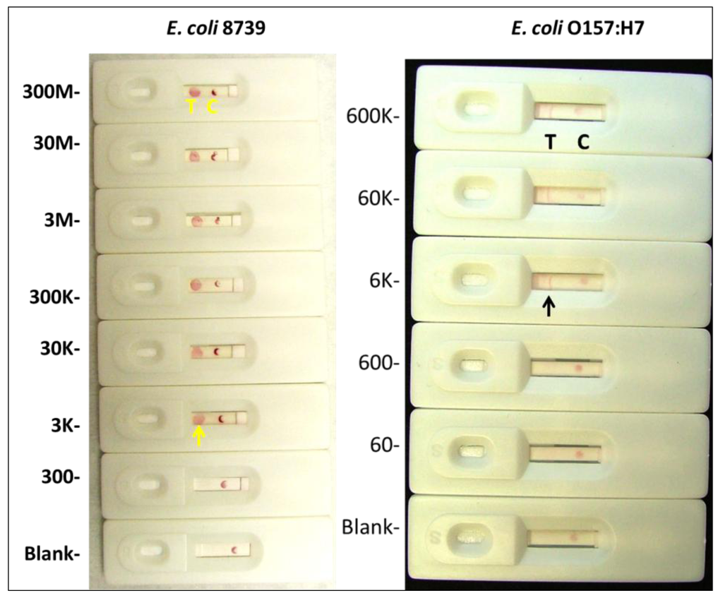Pathogens 03 00341 g004 1024