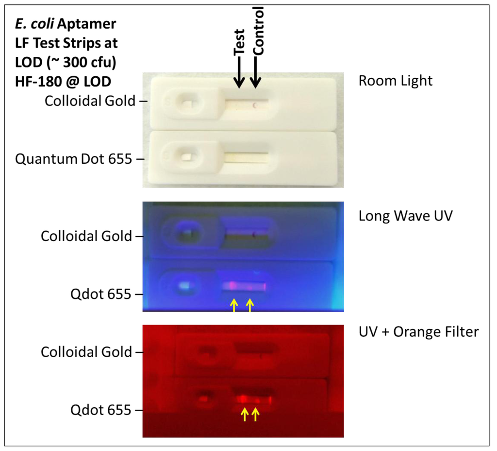 Pathogens 03 00341 g005 1024