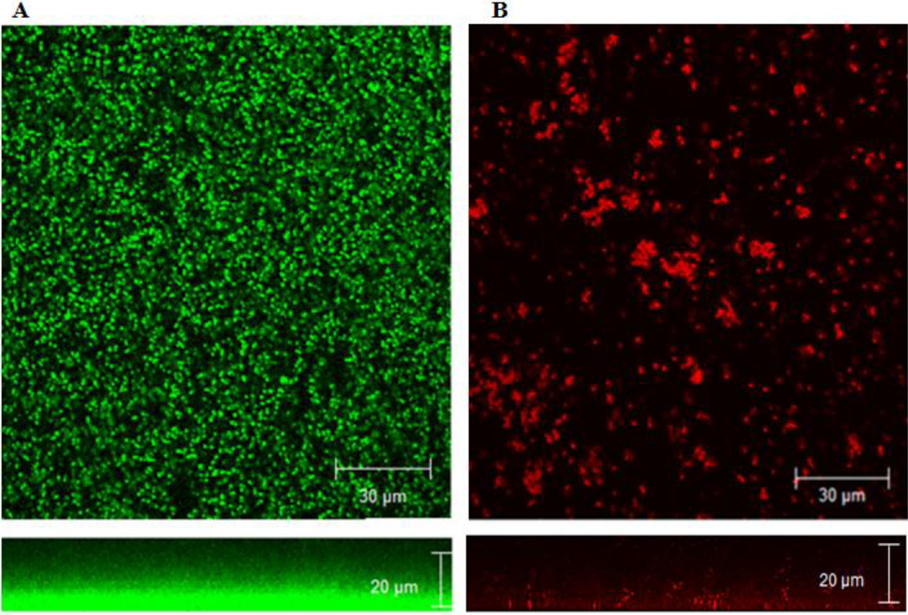 Pathogens 03 00404 g006 1024