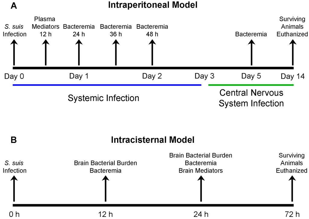 pathogens free full text virulence studies of different types of pathogens