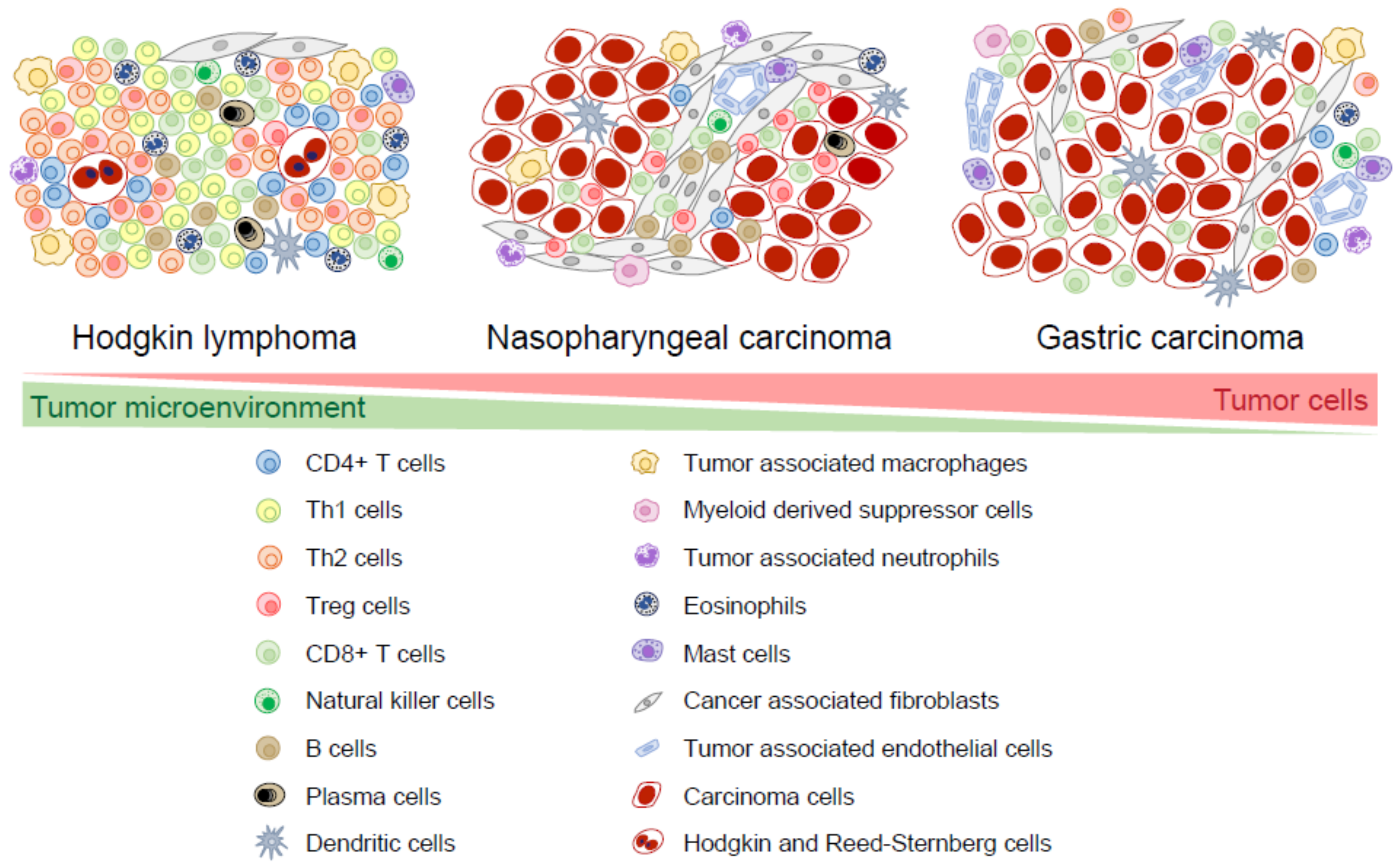 Pathogens 07 00040 g001