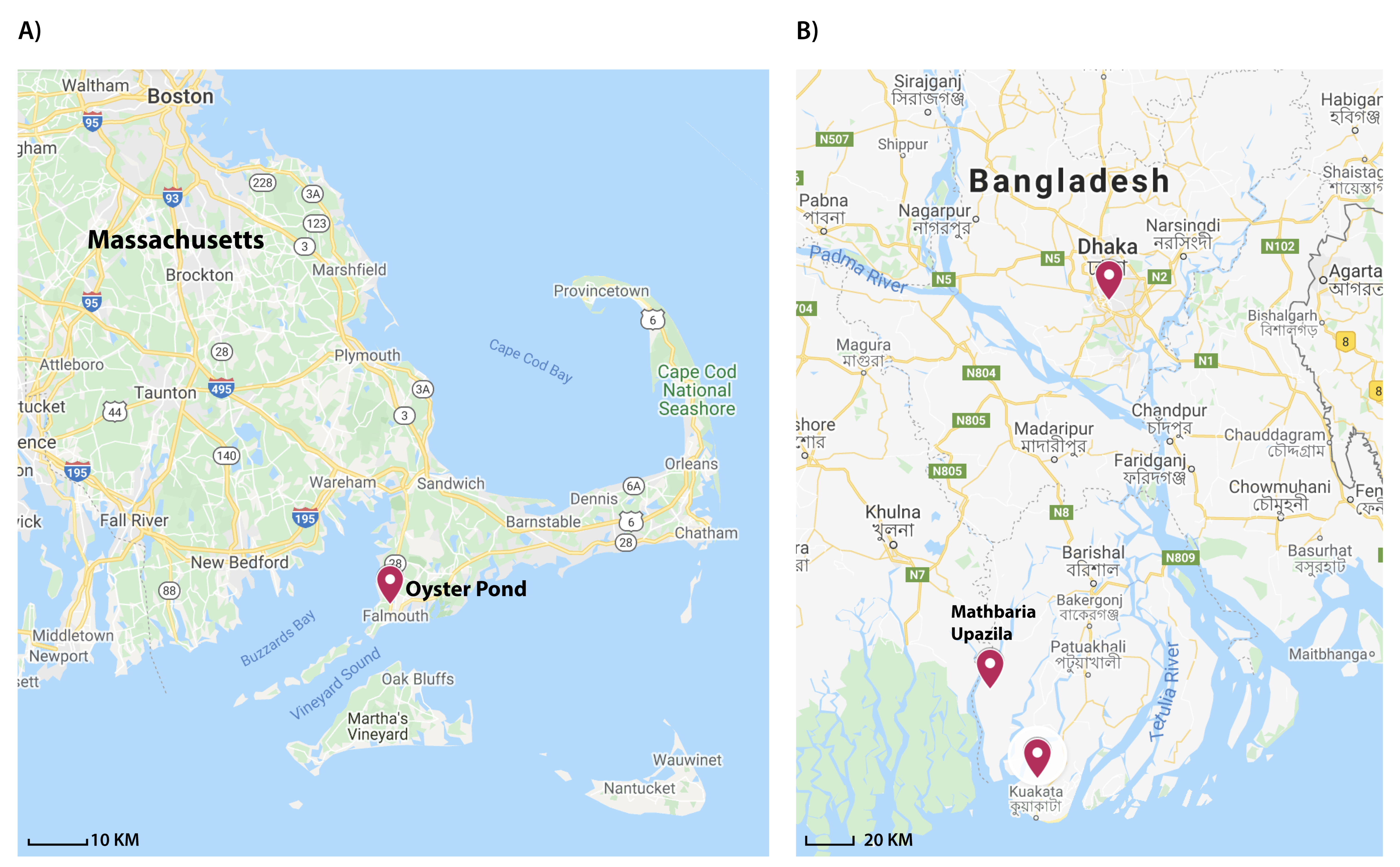 Pathogens 09 01053 g001
