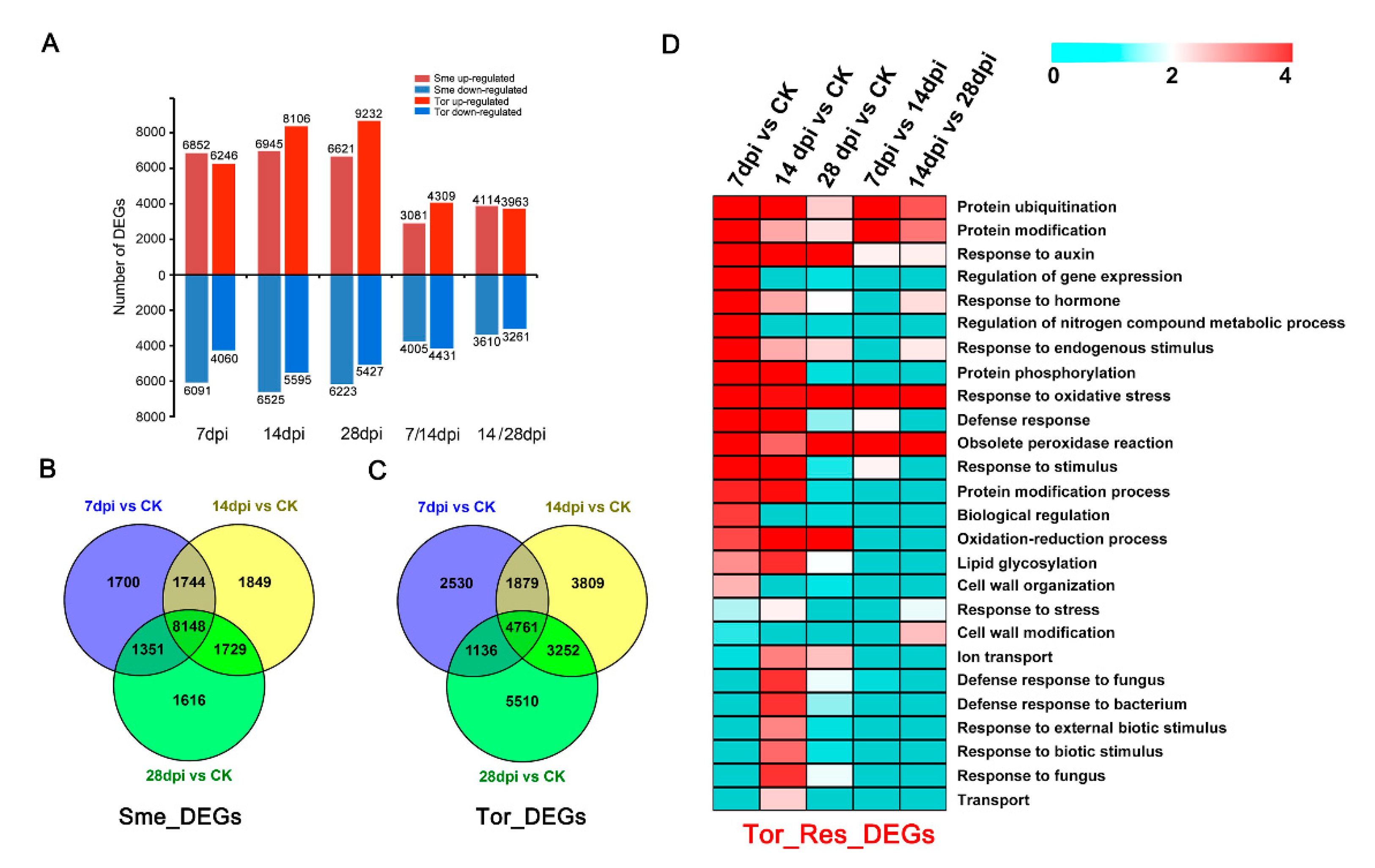Pathogens 10 00470 g002