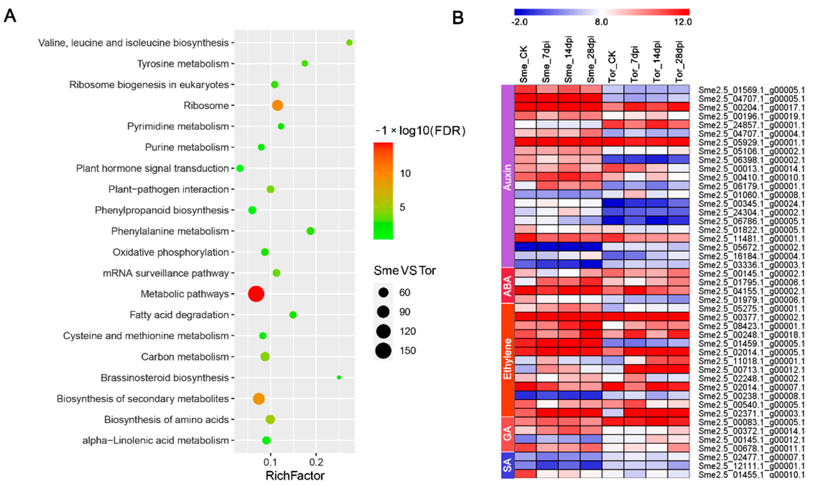 Pathogens 10 00470 g005