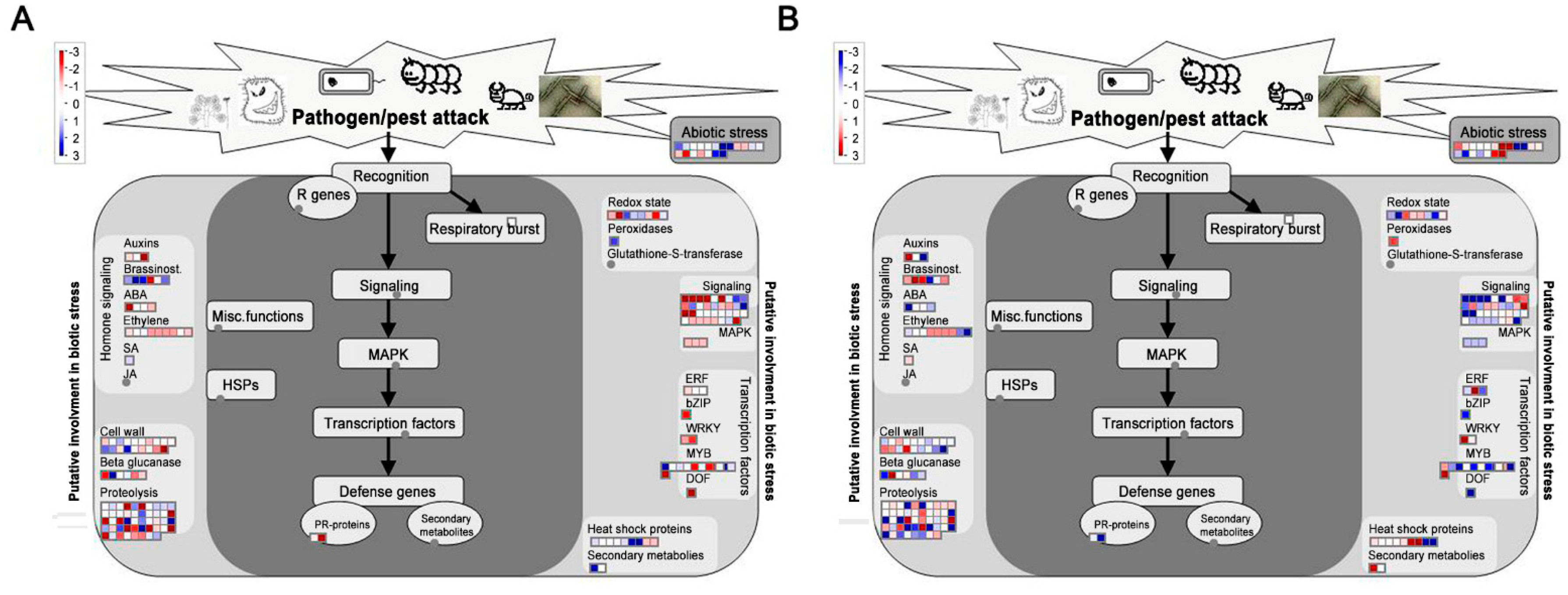 Pathogens 10 00470 g007