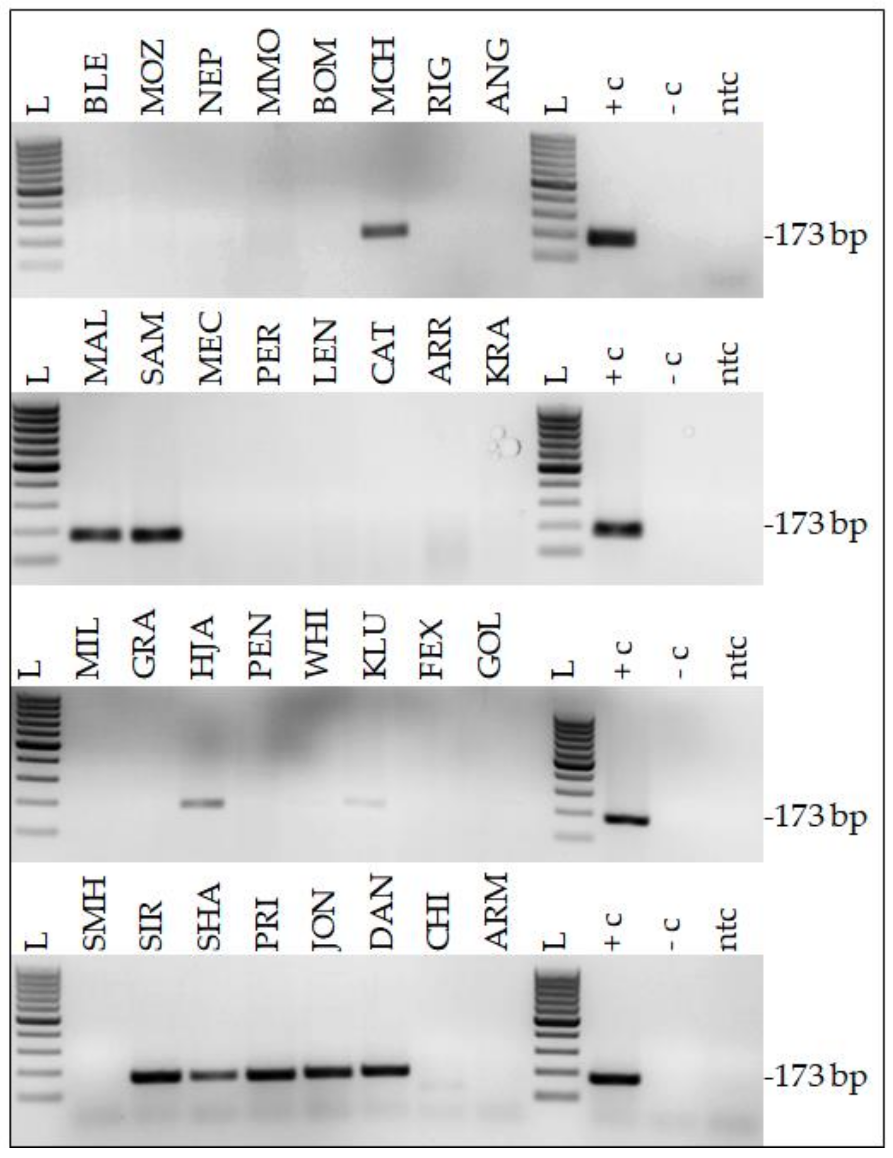 Pathogens 11 00266 g001