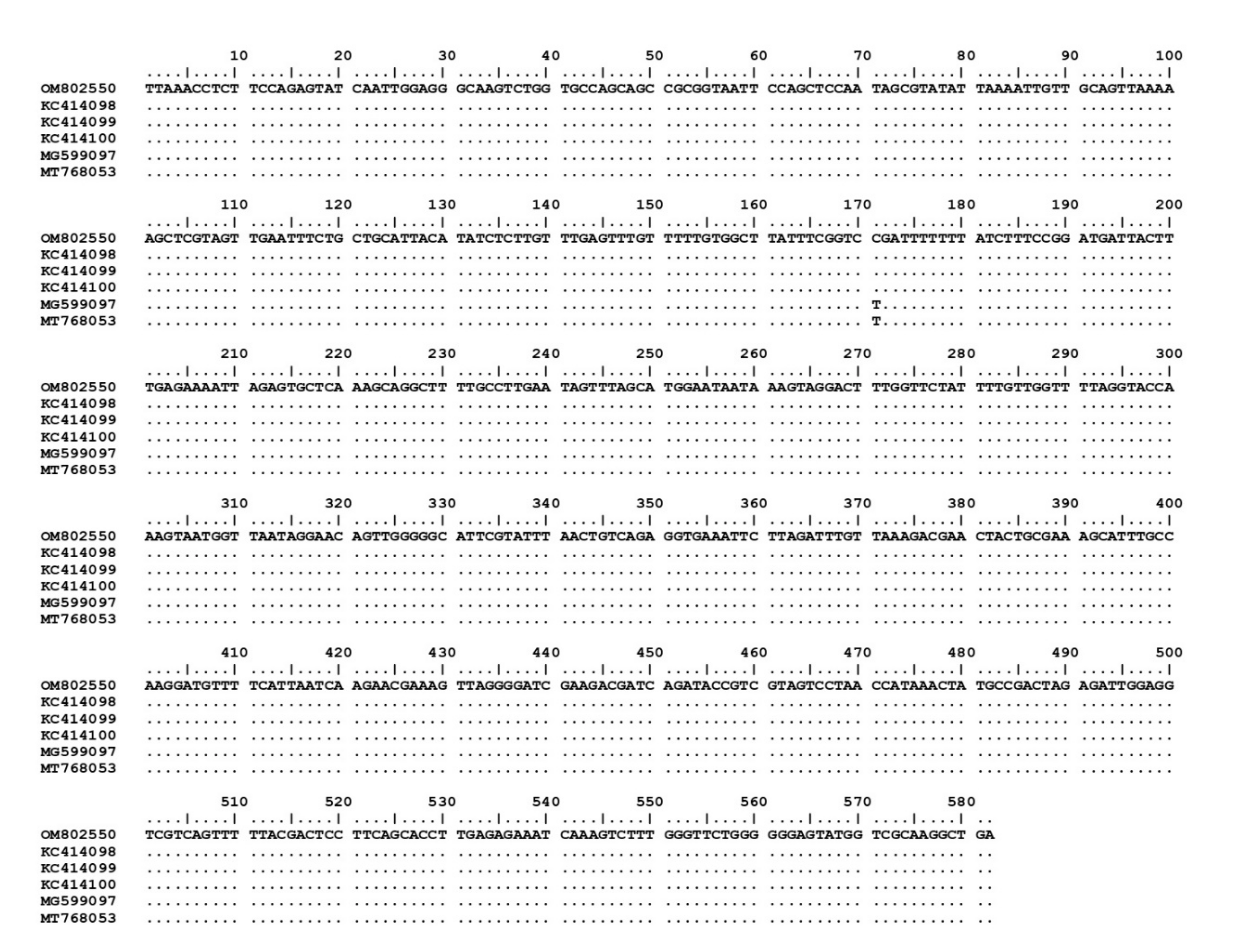 Pathogens 11 00477 g001