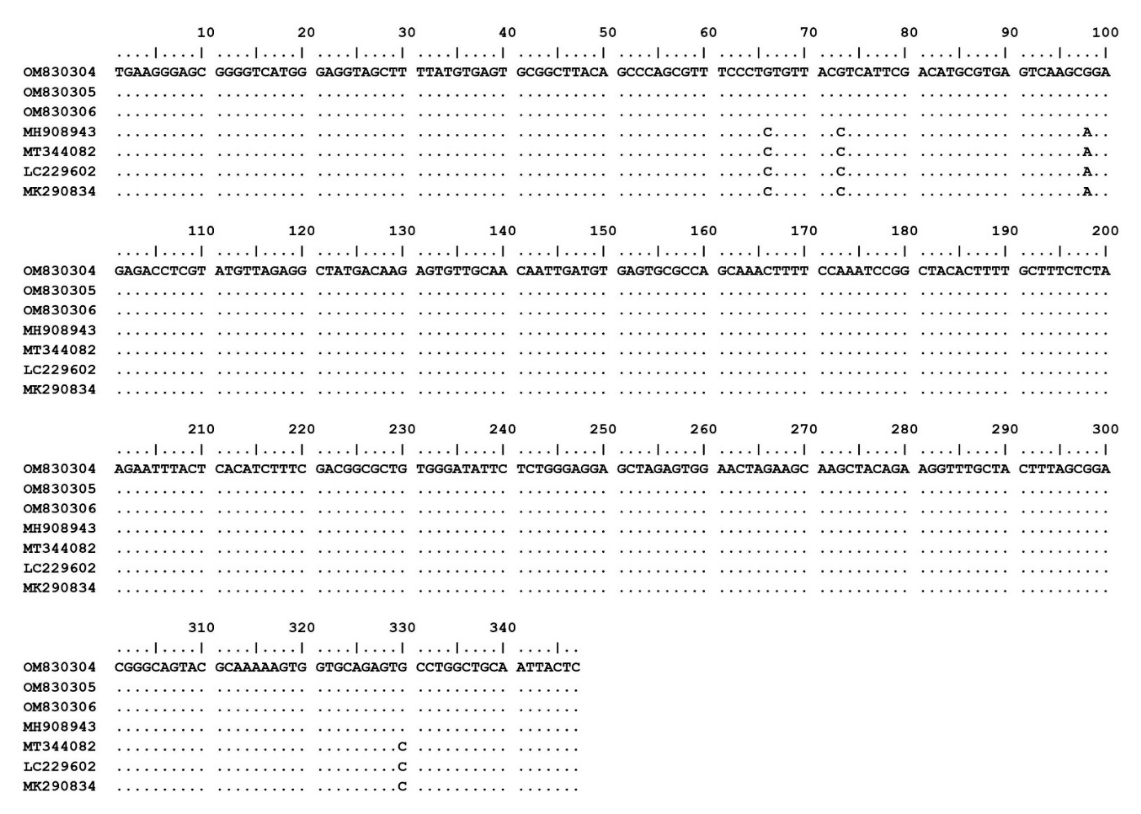 Pathogens 11 00477 g002