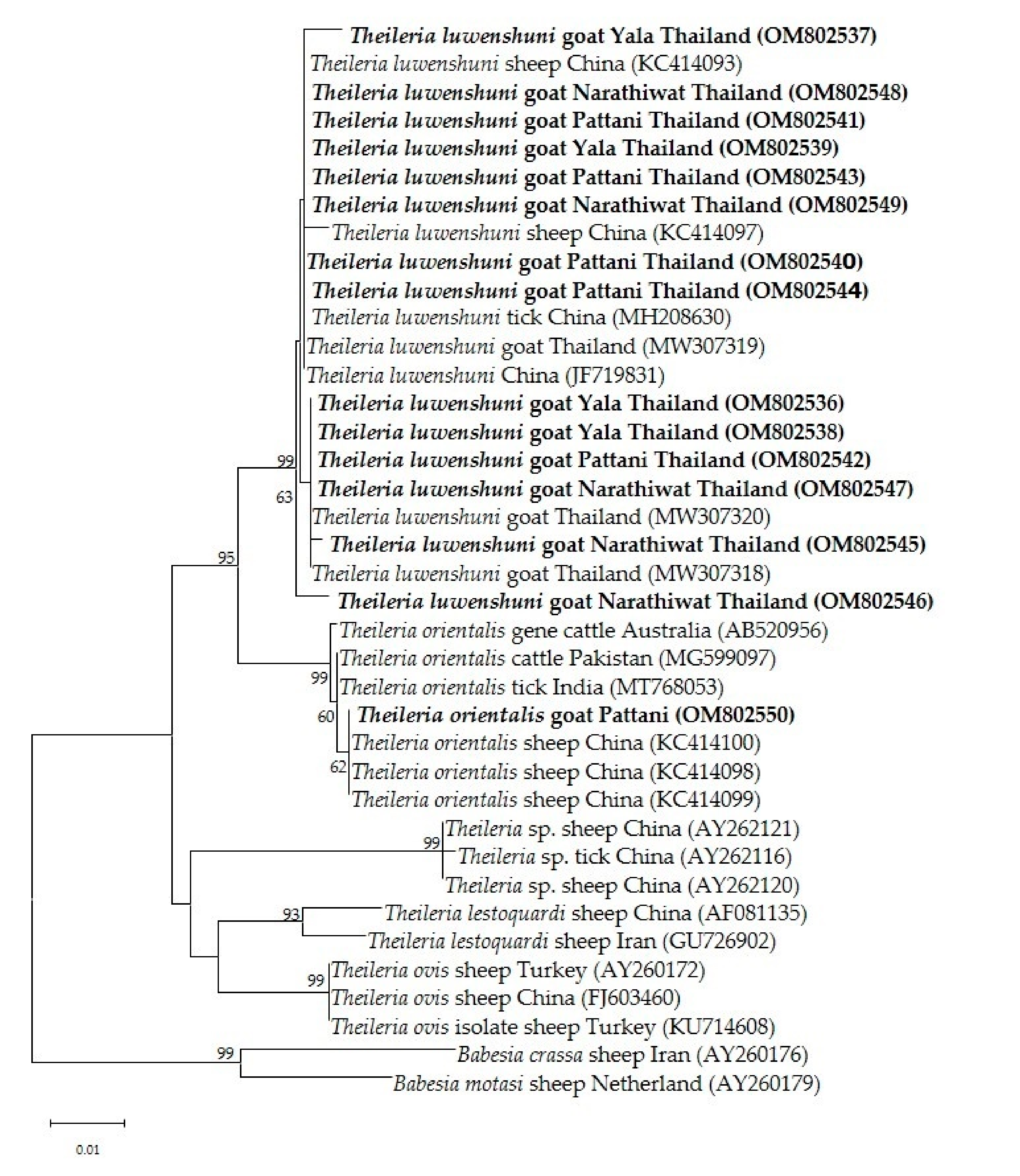 Pathogens 11 00477 g003