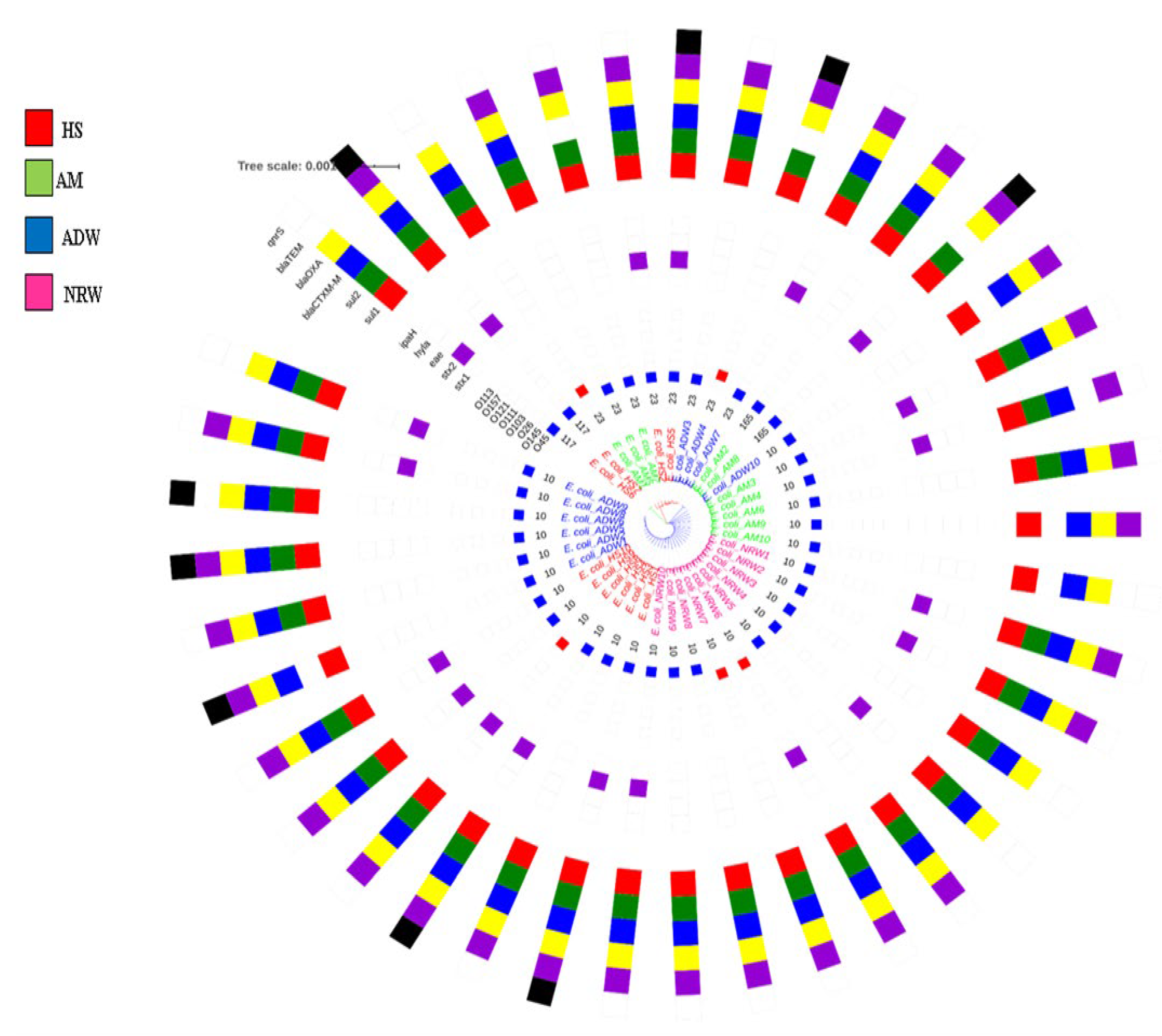 Pathogens 11 00674 g002 Pathogens 11 00674 g002