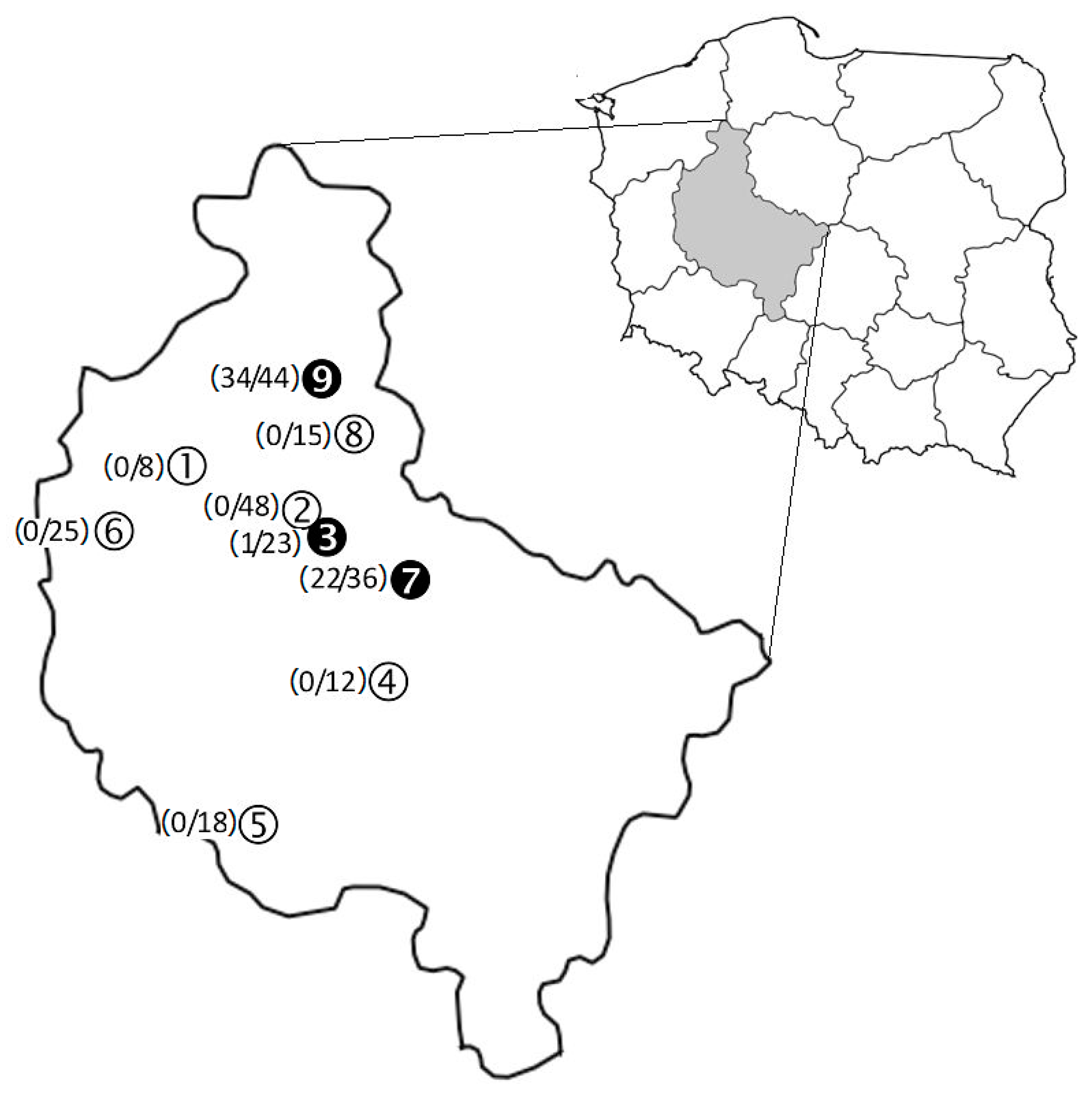 Pathogens 11 00696 g001