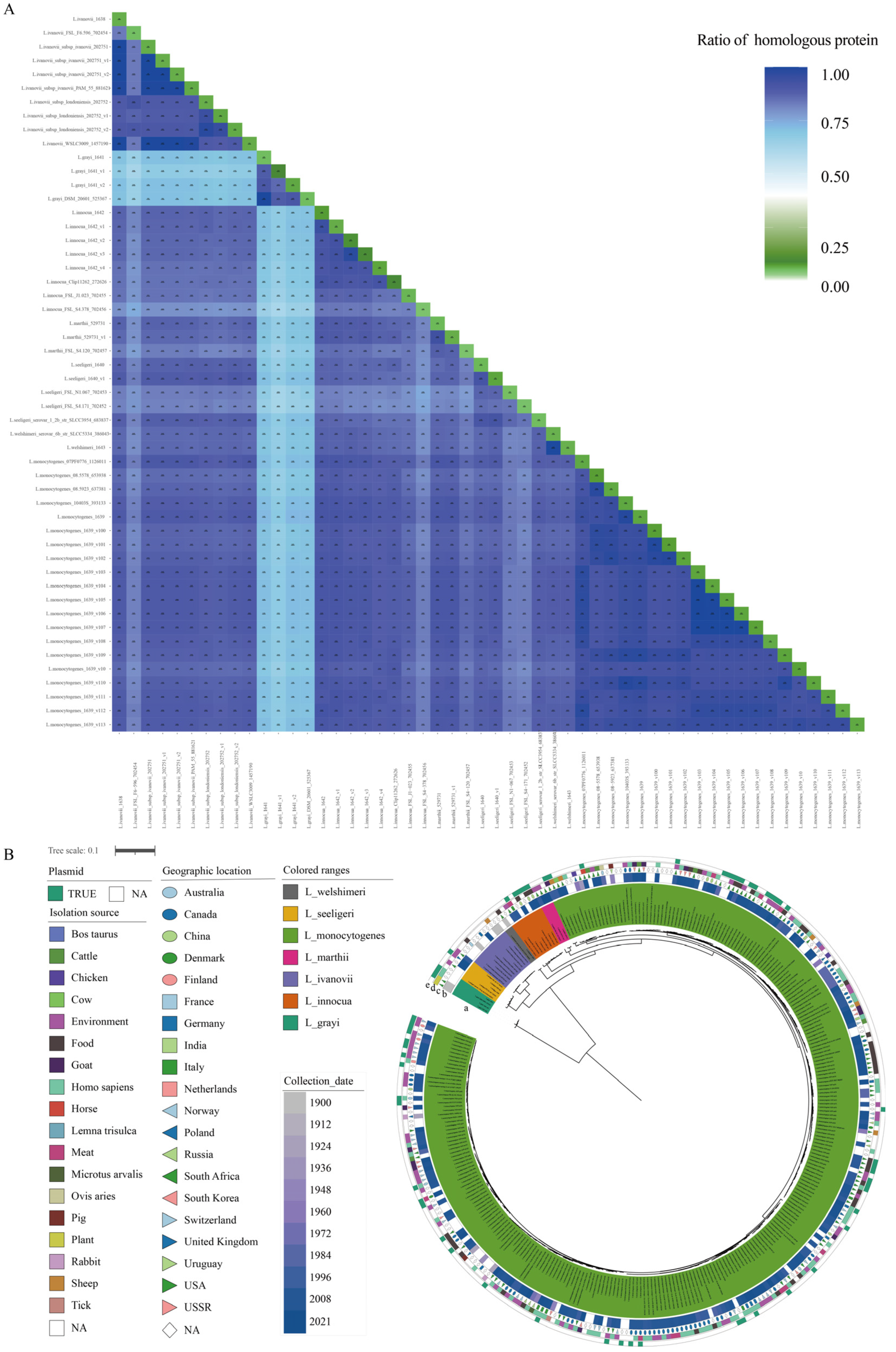 Pathogens 11 01430 g001 Pathogens 11 01430 g001