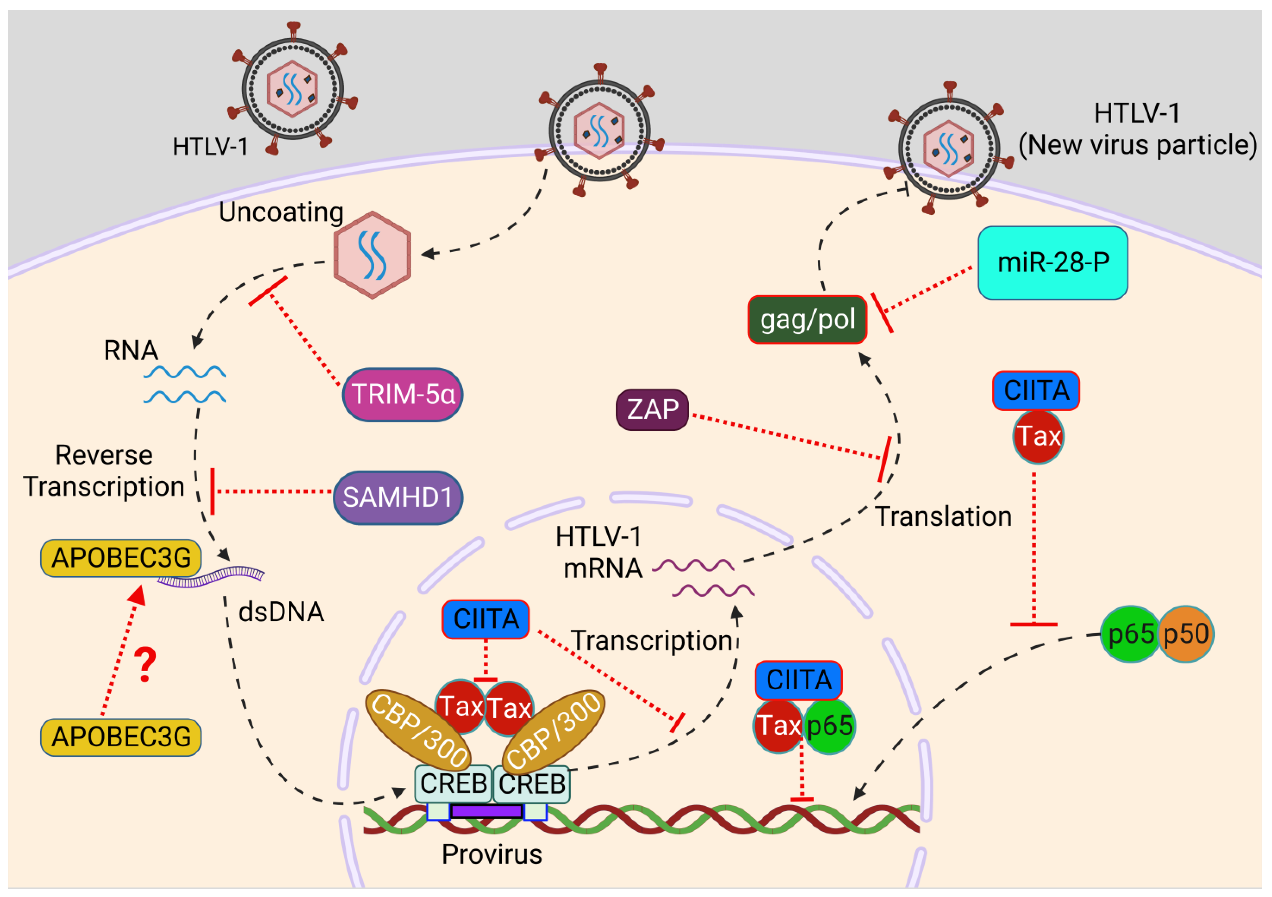 Pathogens 12 00735 g002 Pathogens 12 00735 g002