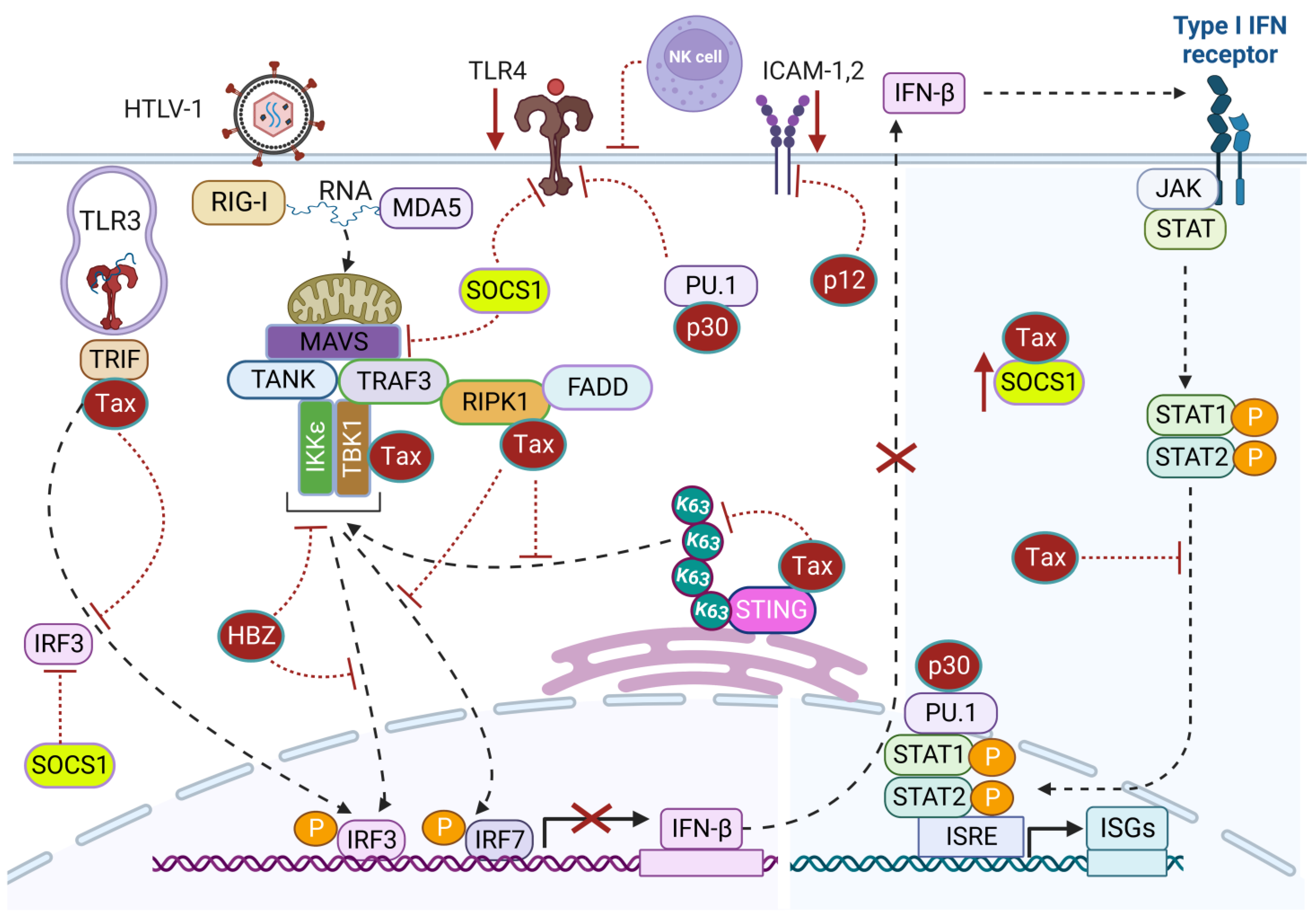 Pathogens 12 00735 g003 Pathogens 12 00735 g003