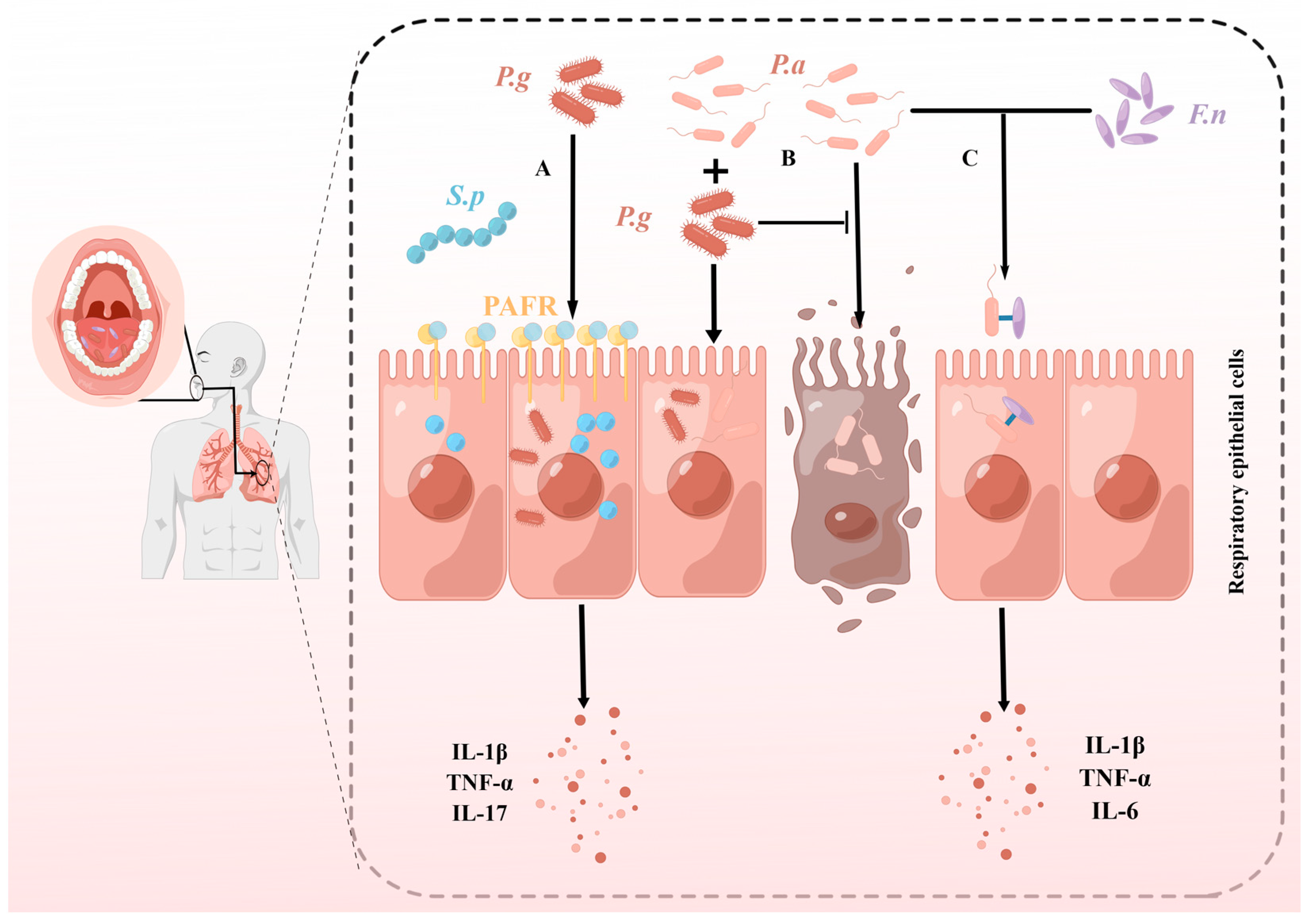 Pathogens 12 01110 g002