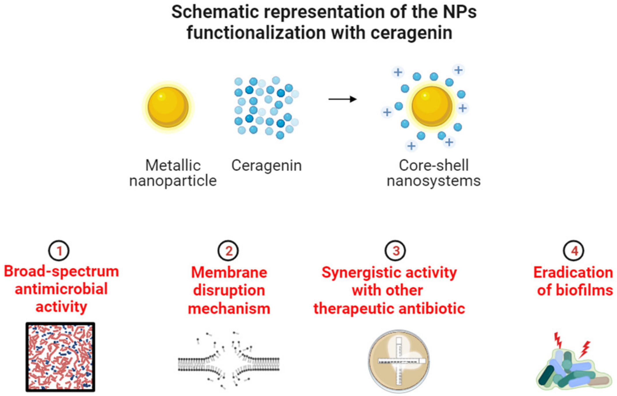 Pathogens 12 01346 g003