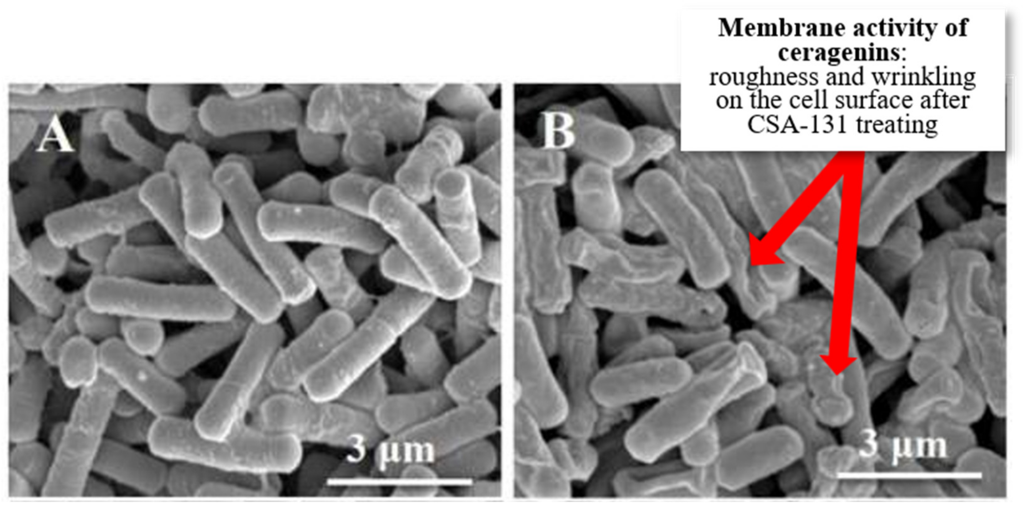 Pathogens 12 01346 g005