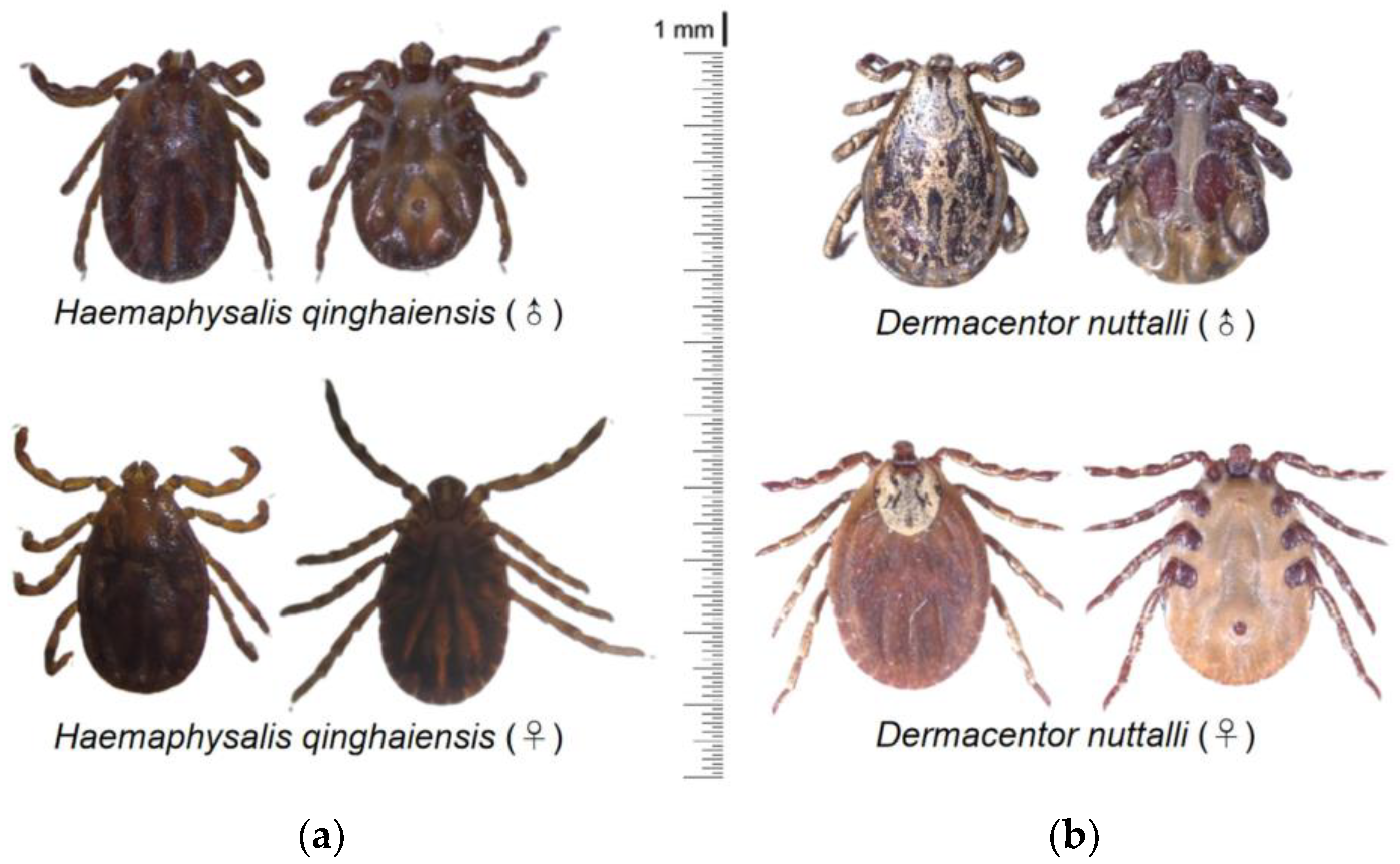 Pathogens 13 00086 g002