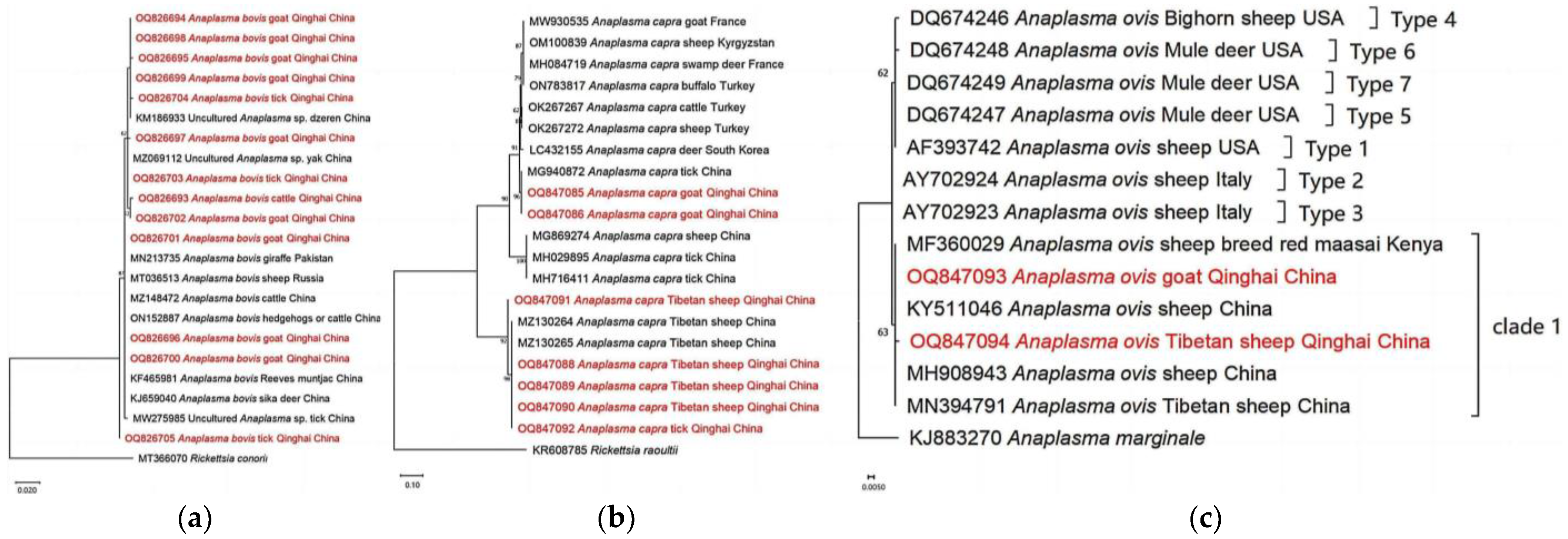 Pathogens 13 00086 g004