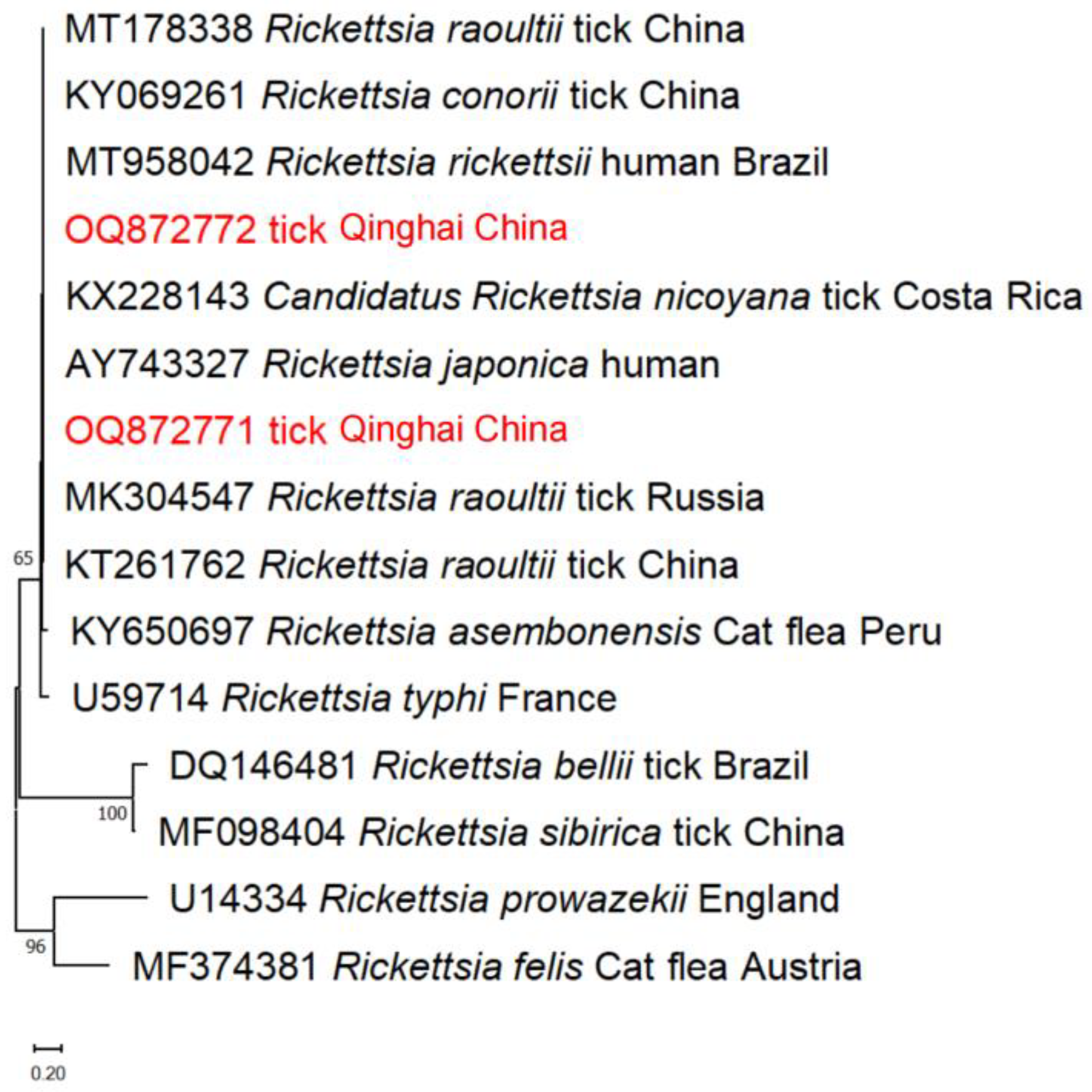 Pathogens 13 00086 g006
