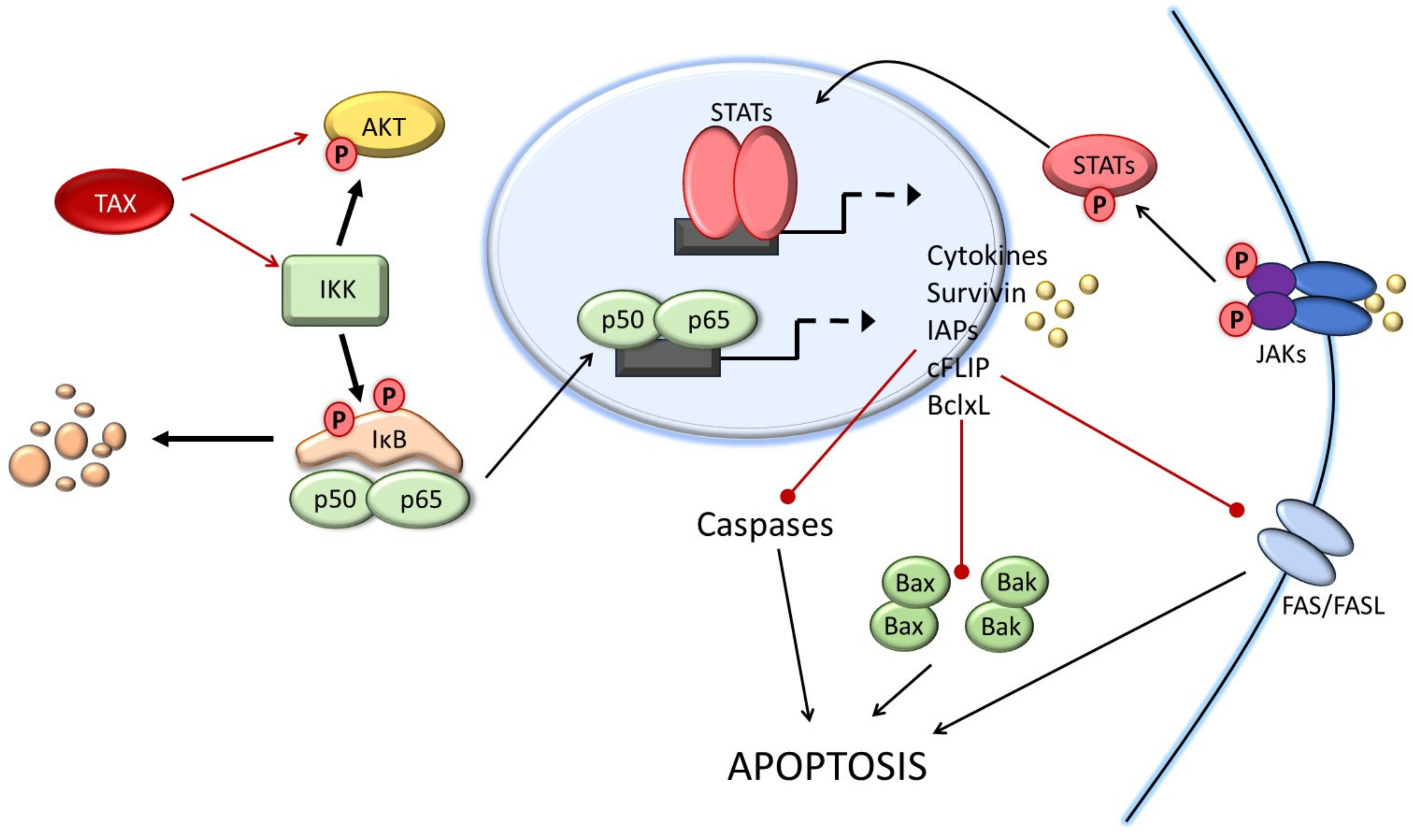 Pathogens 13 00087 g001 Pathogens 13 00087 g001