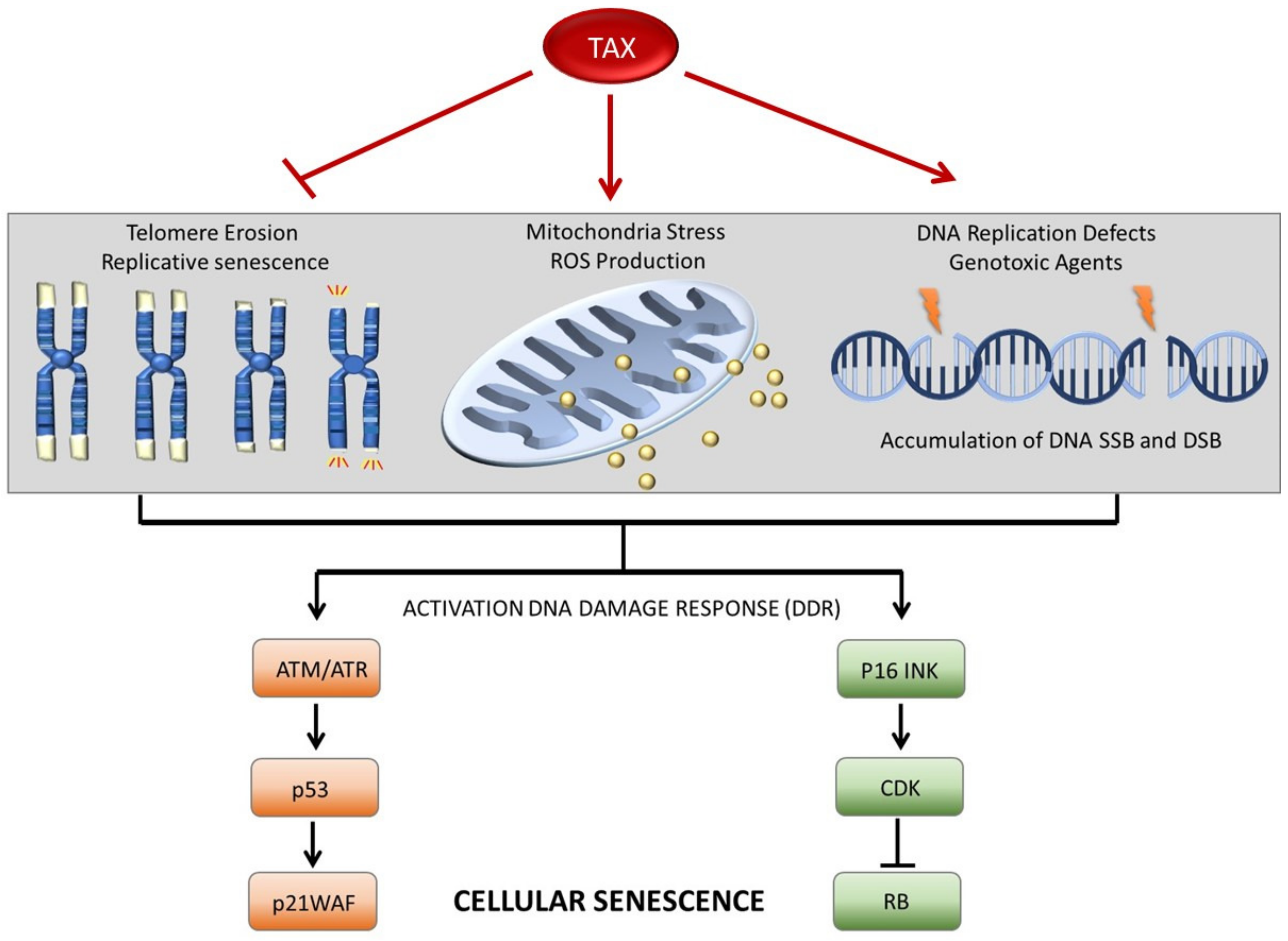 Pathogens 13 00087 g002 Pathogens 13 00087 g002