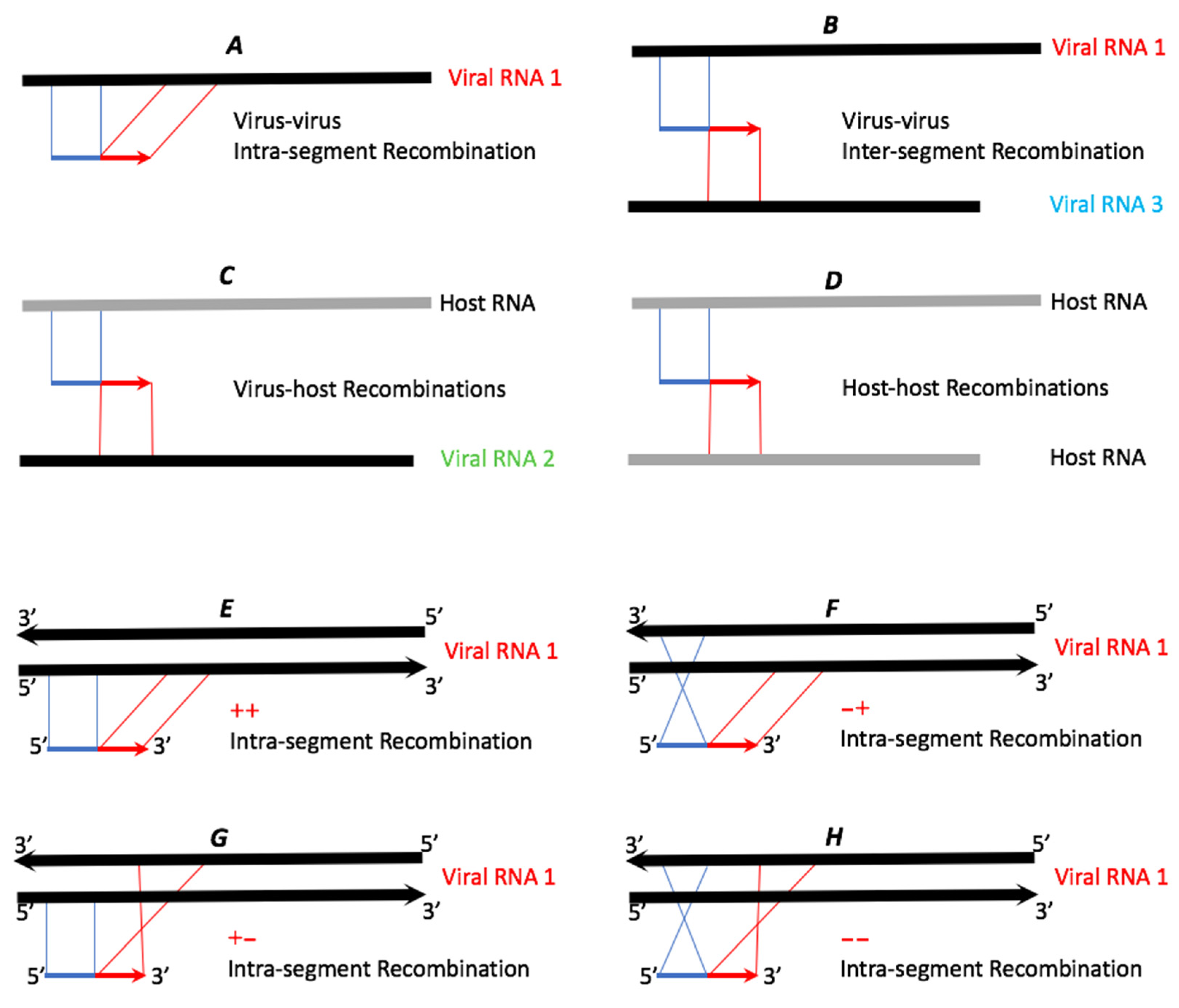 Pathogens 13 00096 g002