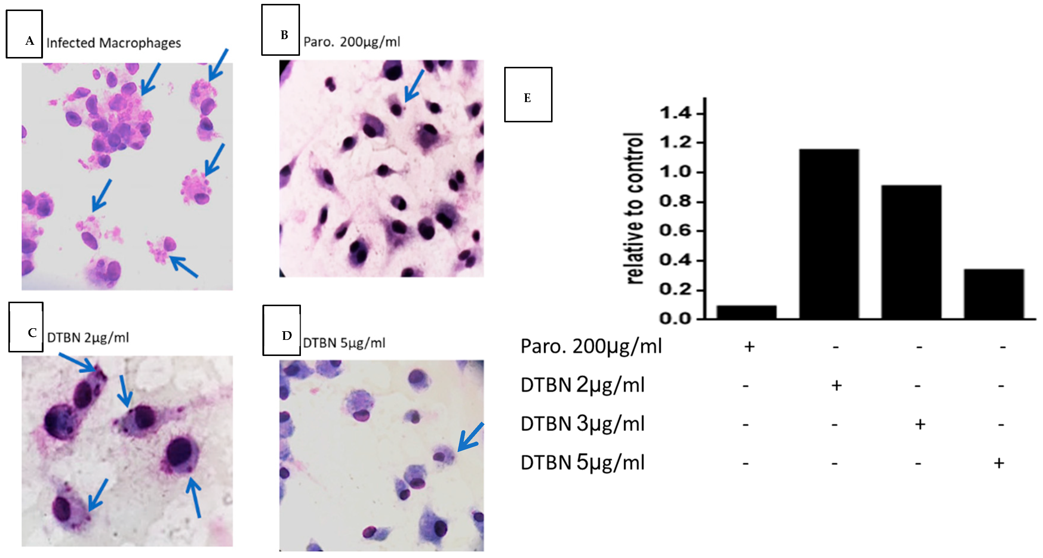 Pathogens 13 00384 g004