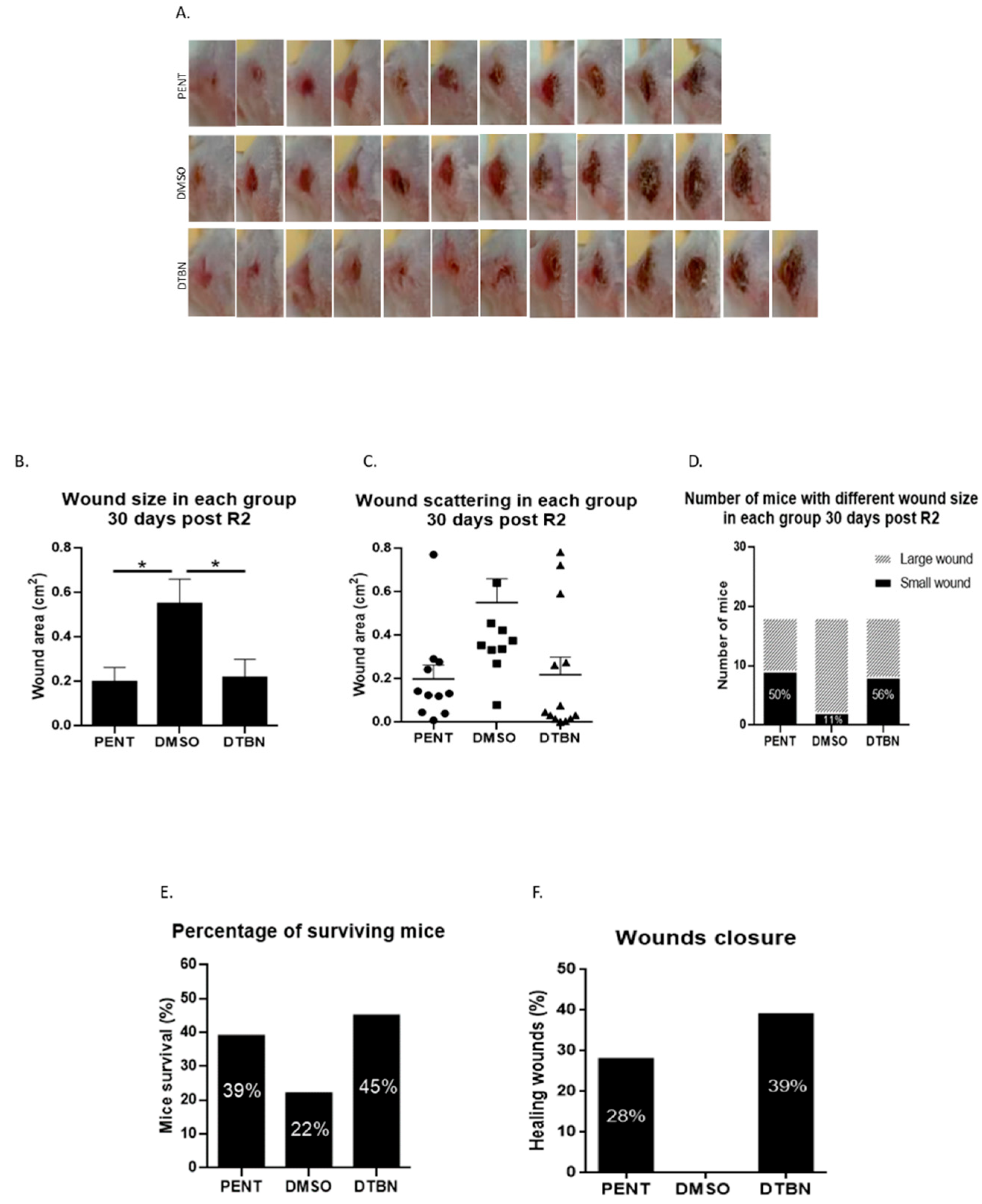 Pathogens 13 00384 g006