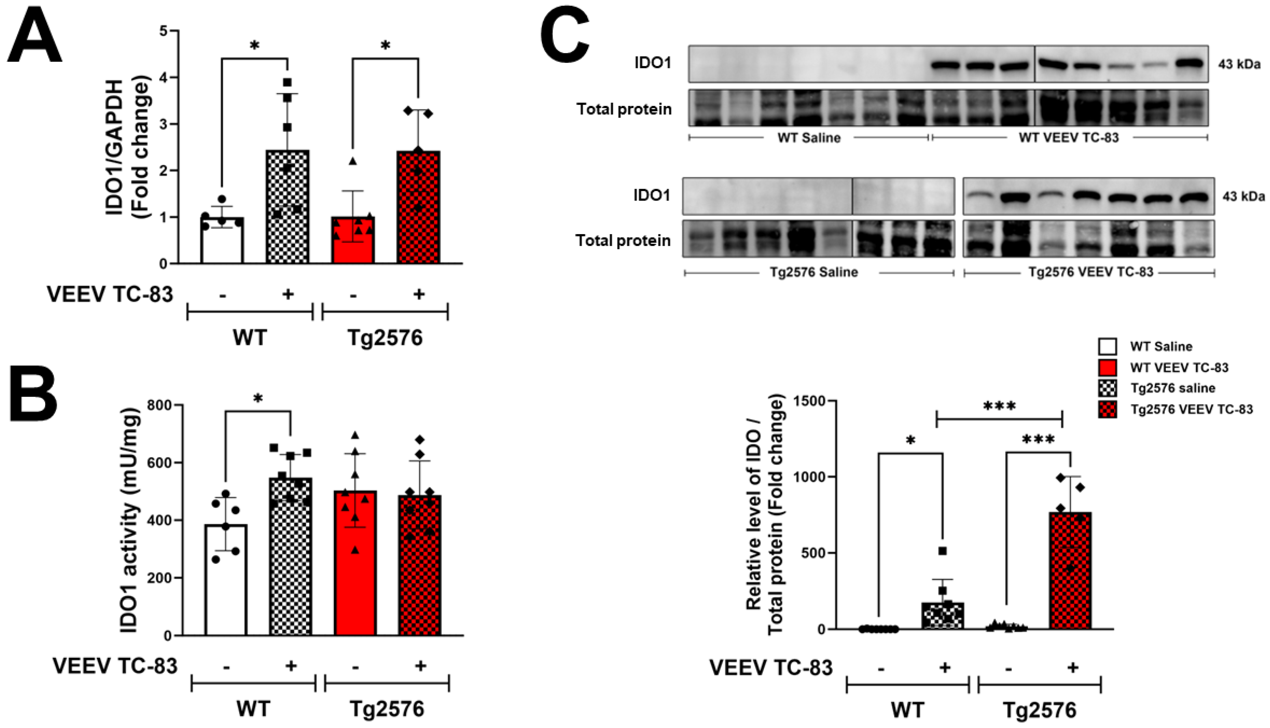Pathogens 13 00397 g001