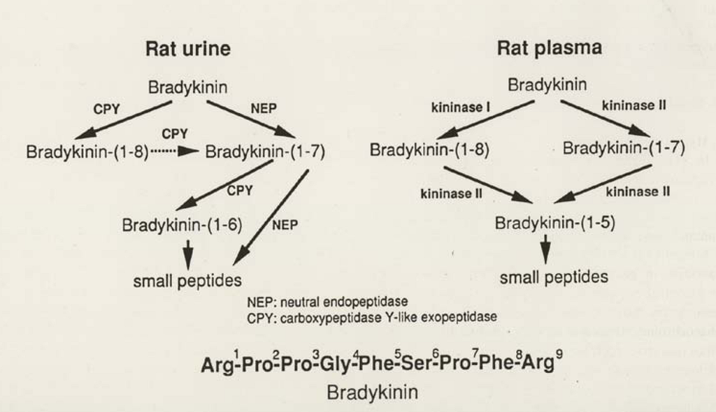 Pharmaceuticals 03 00059 g002 1024