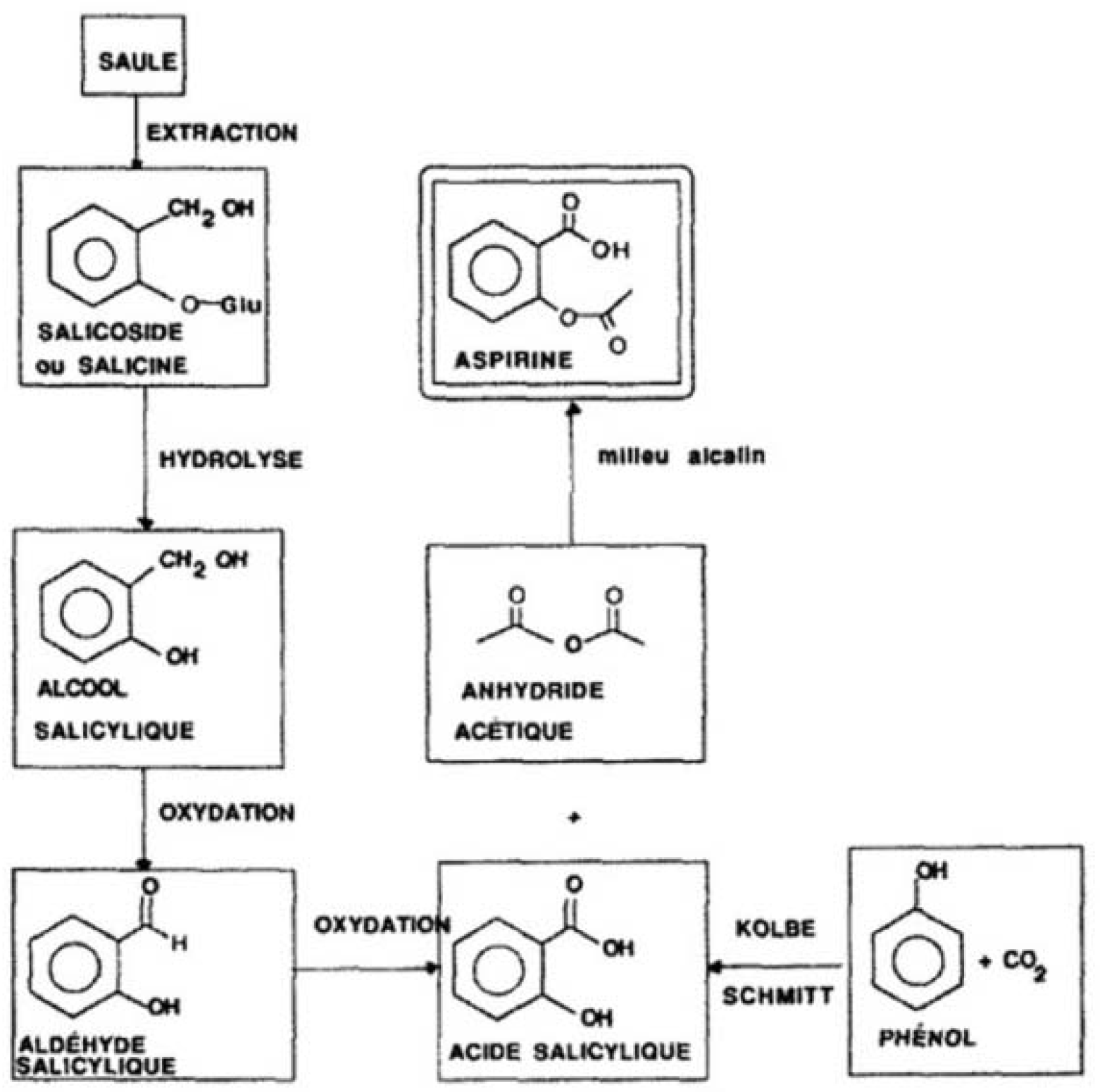 Pharmaceuticals 03 00369 g001