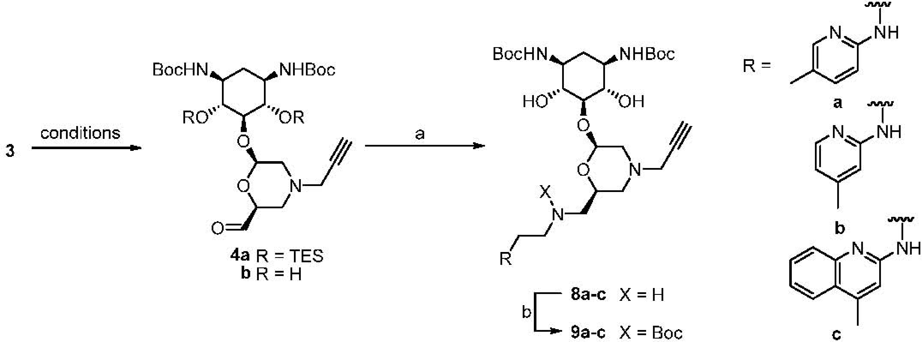 Pharmaceuticals 03 00679 g003