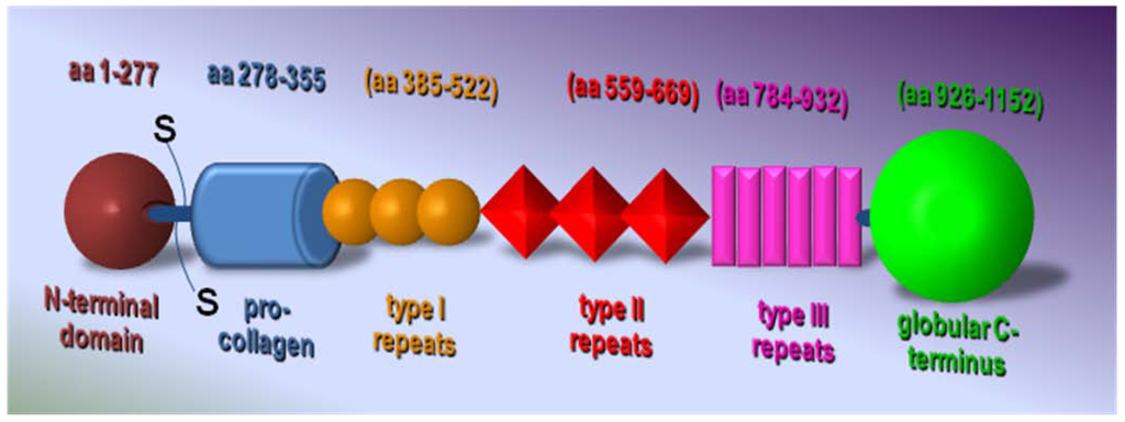 Pharmaceuticals 03 01241 g003 1024