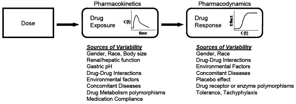 pharmacokinetic pharmacodynamic correlation in drug therapy pdf