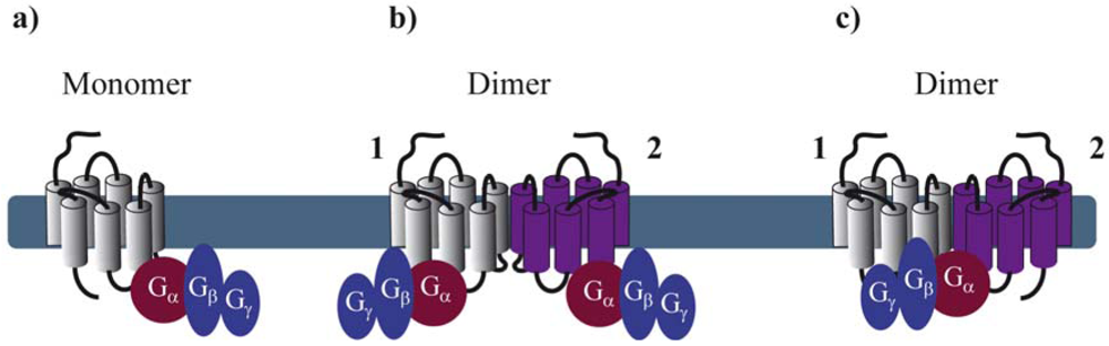 Pharmaceuticals 04 00273f1 1024