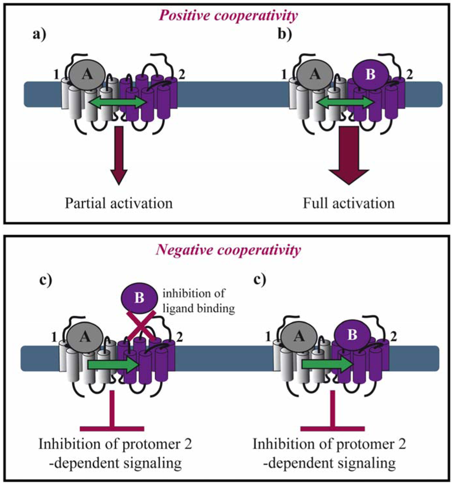 Pharmaceuticals 04 00273f2 1024