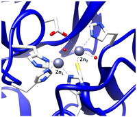 Pharmaceuticals 04 00419f2 200