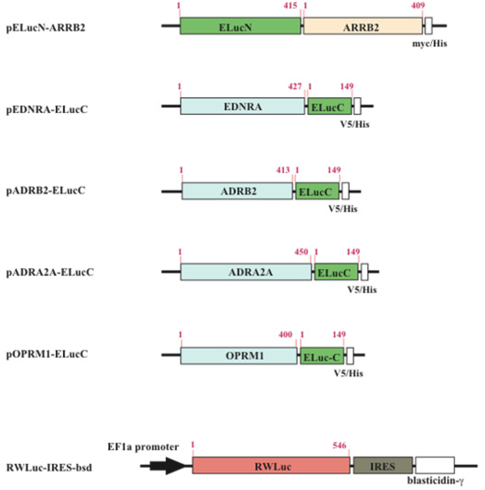 Pharmaceuticals 04 00457f2 1024