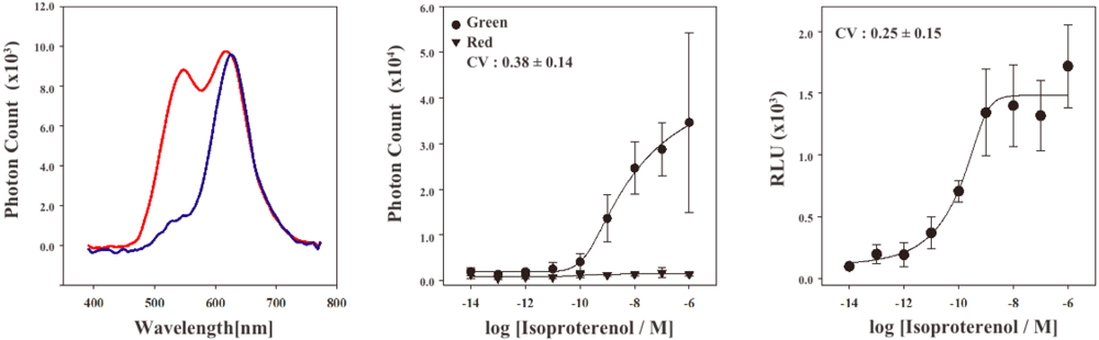 Pharmaceuticals 04 00457f3 1024