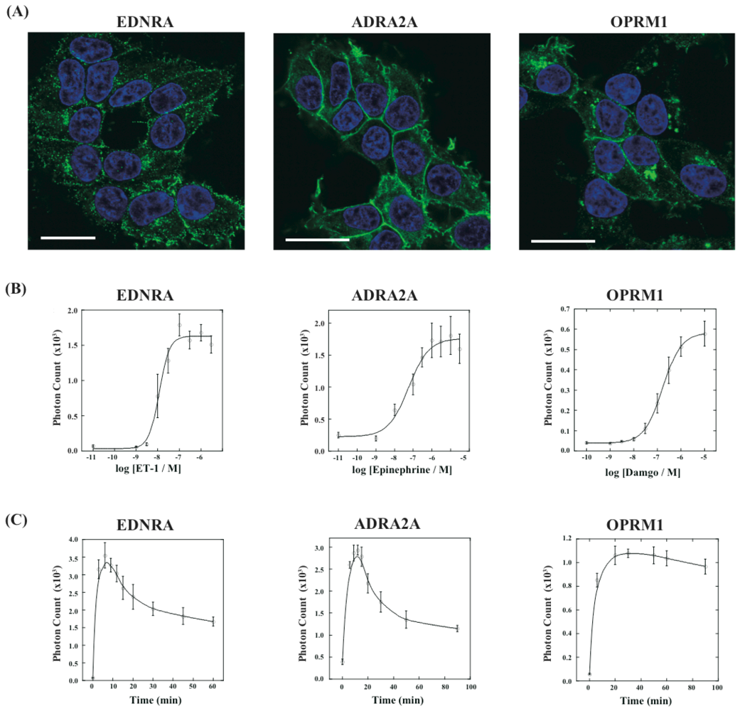 Pharmaceuticals 04 00457f5 1024