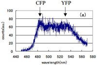 Pharmaceuticals 04 00524f13a 200